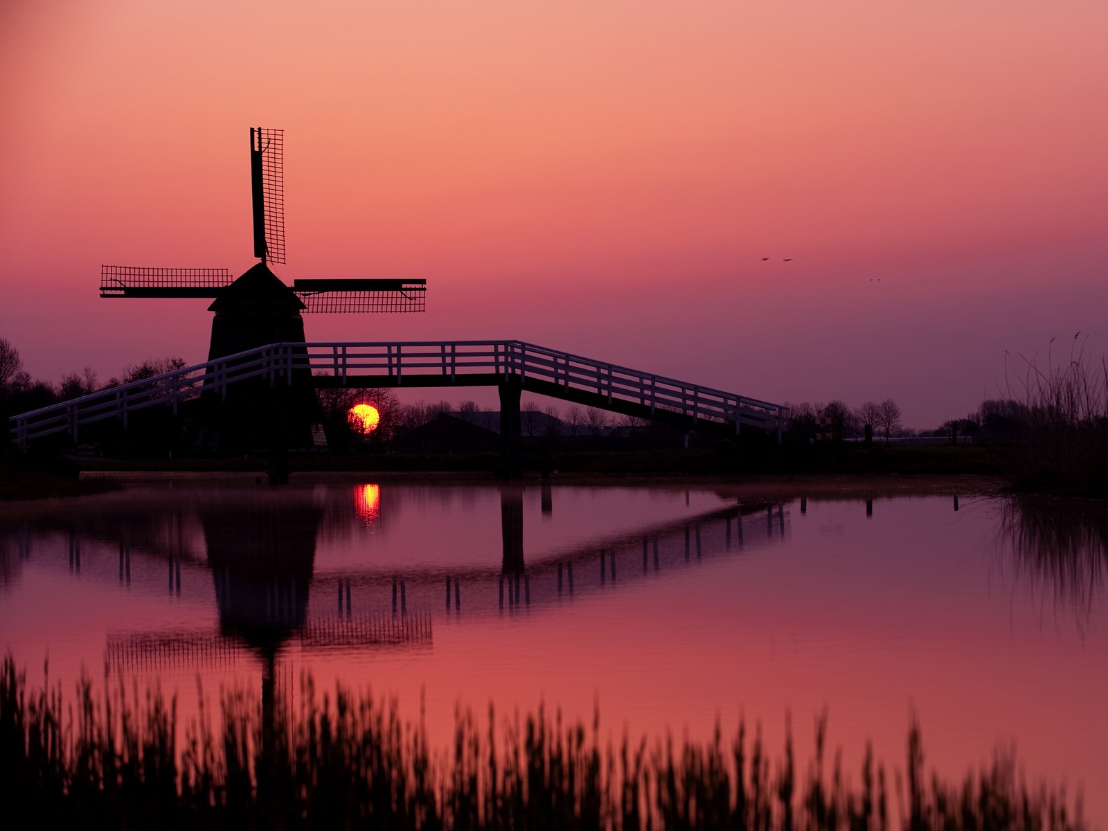 Windmills Wallpaper And Background Id