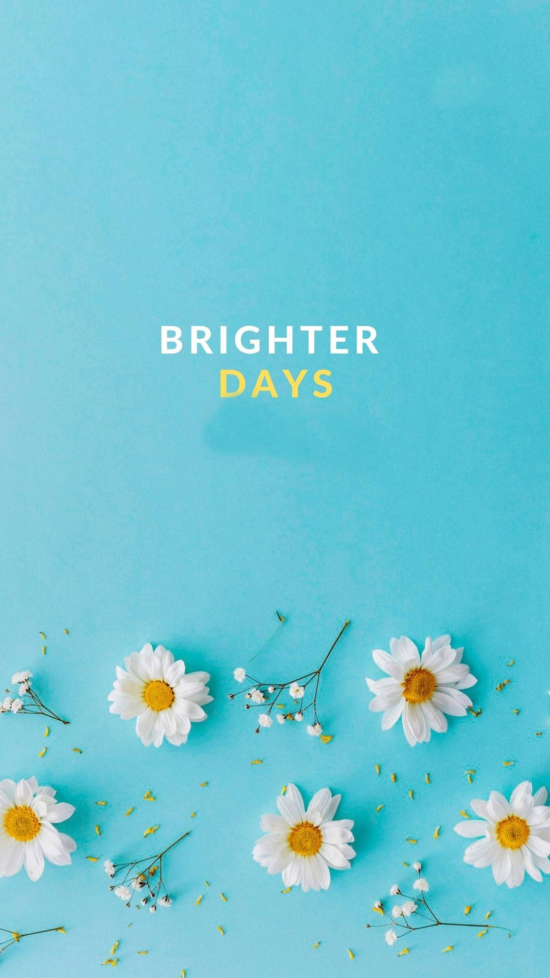 Inspiring Quotes Phone Wallpaper