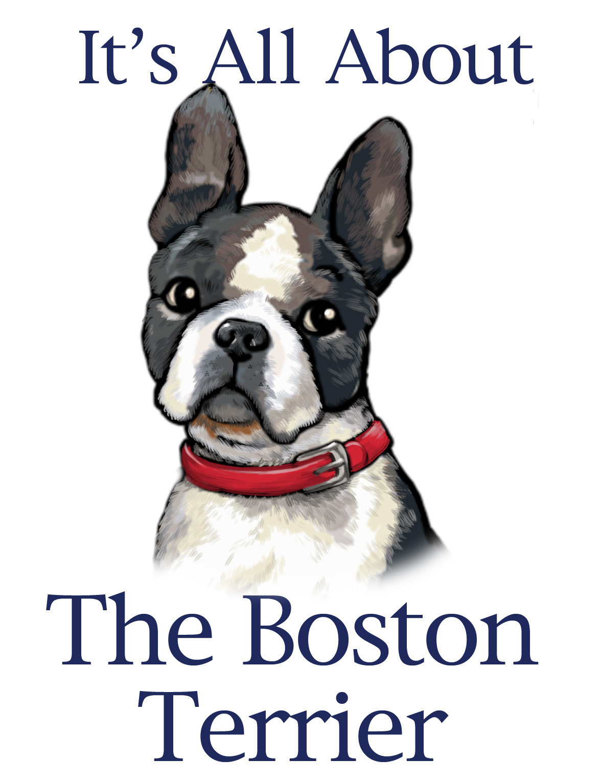 Boston Terriers Image Bostons HD Wallpaper And Background