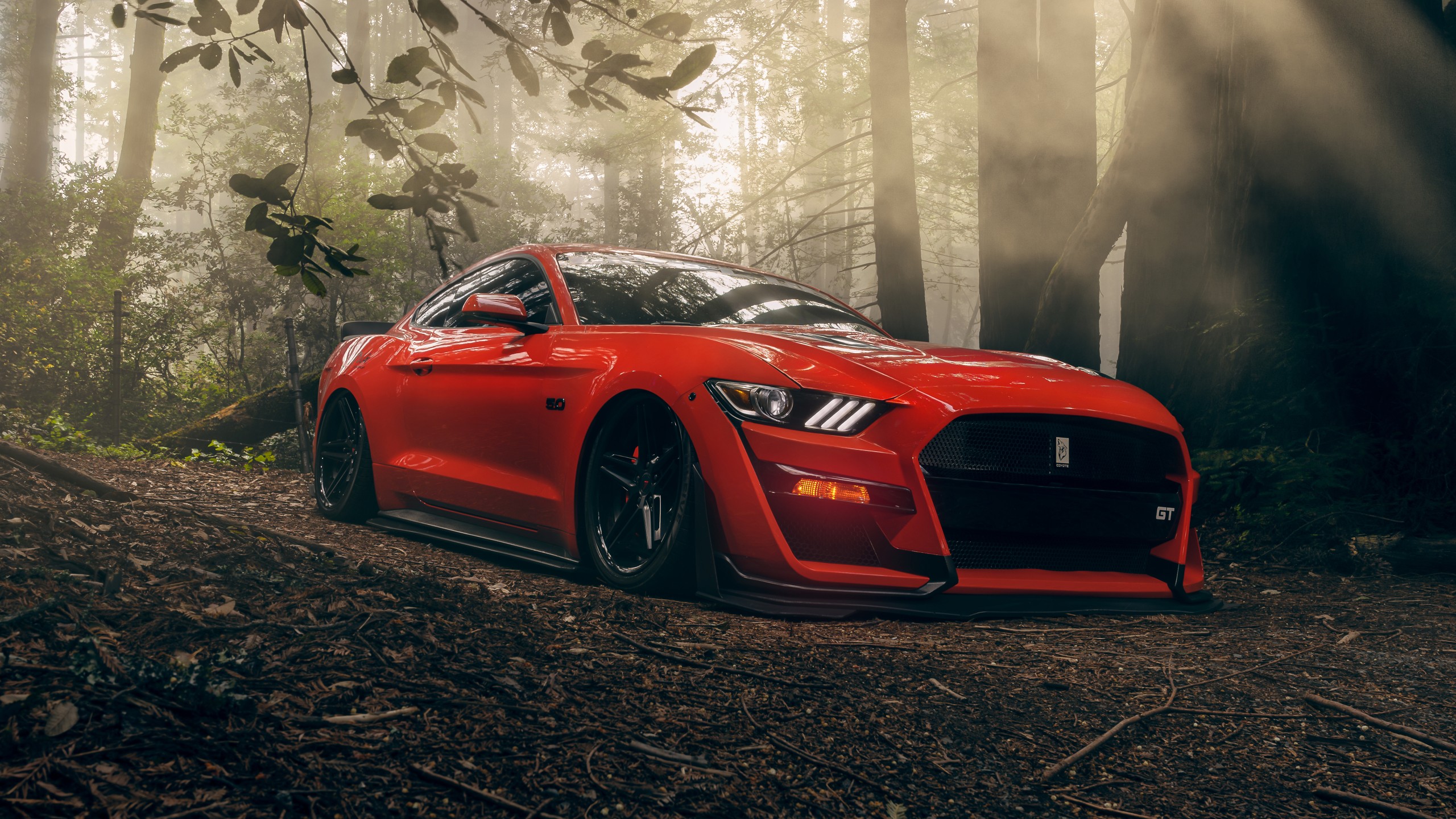 Ford Mustang Gt 5k Wallpaper