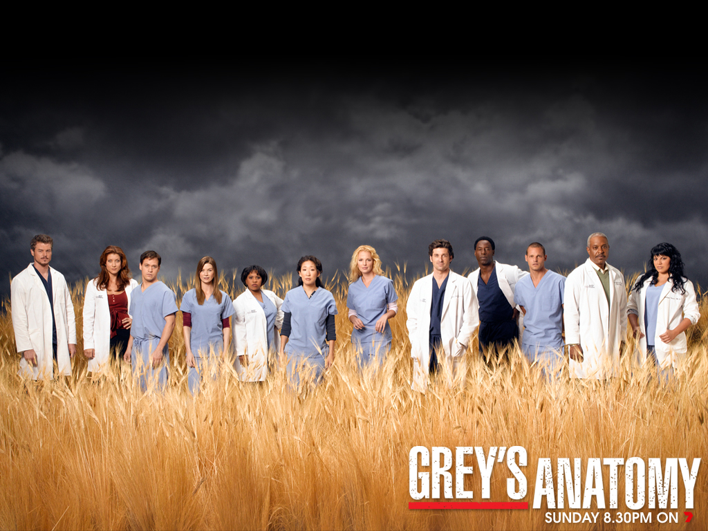 Greys Anatomy Cast   Greys Anatomy Wallpaper 34574