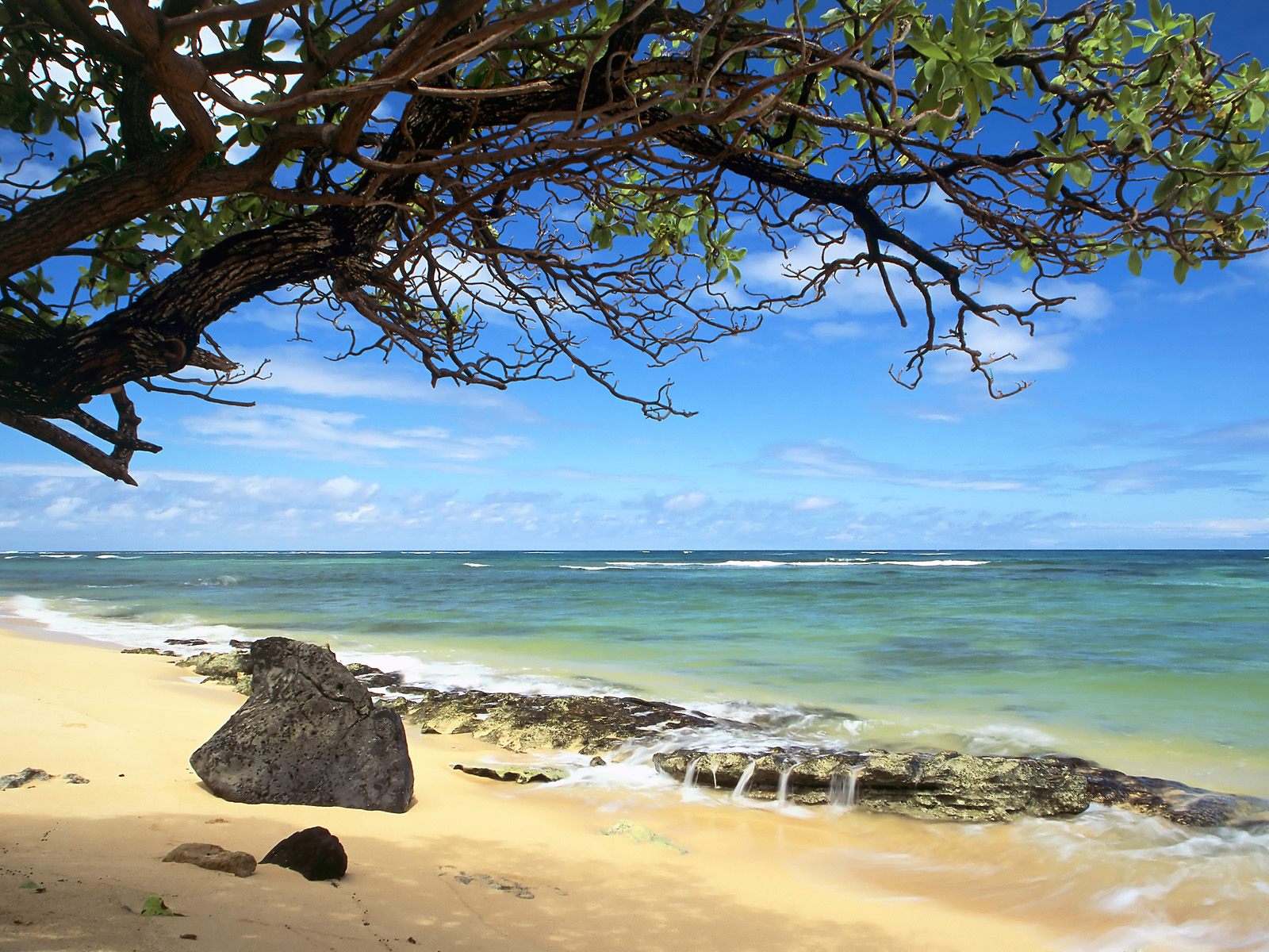 Kanenelu Beach Oahu Hawaii Nature Wallpaper Image Featuring Beaches