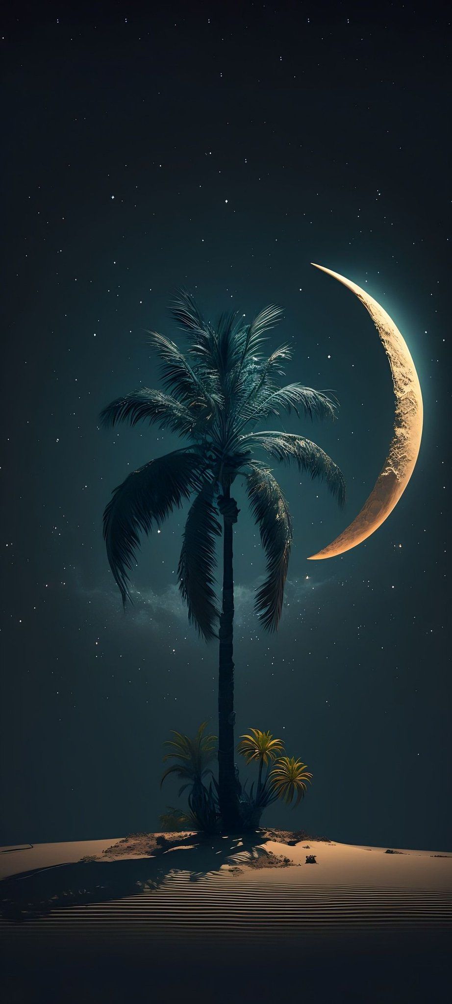 Landscape Palm Tree Beach Wallpaper