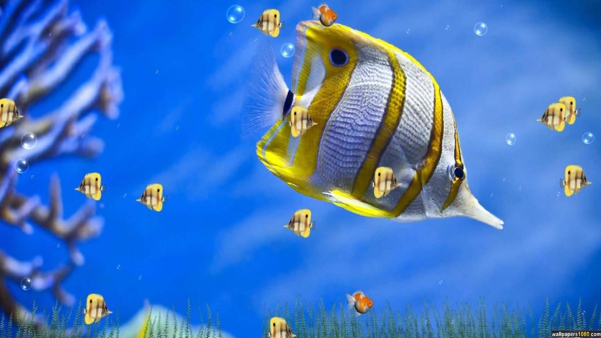 3d Fishes Windows Wallpaper 1080p HD