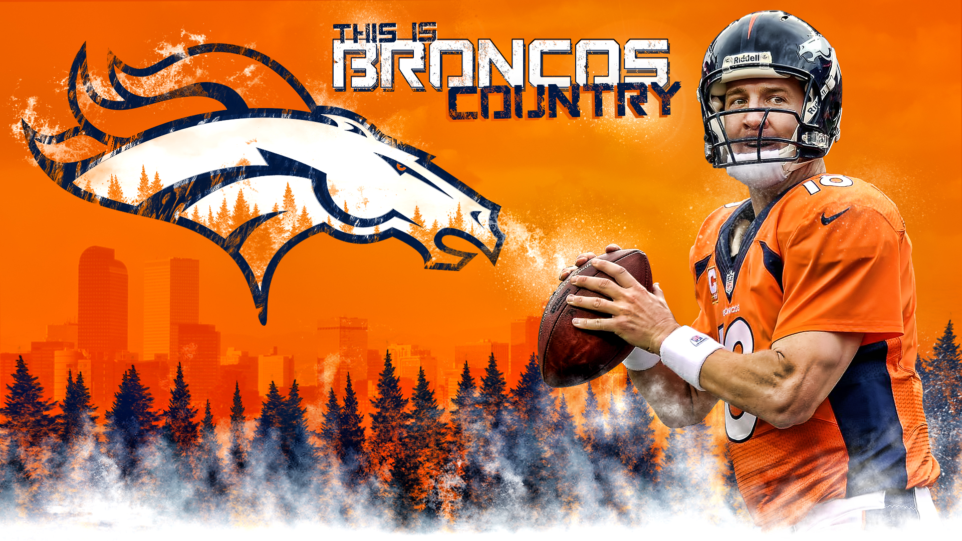 Denver Broncos Peyton Manning Country Wall By