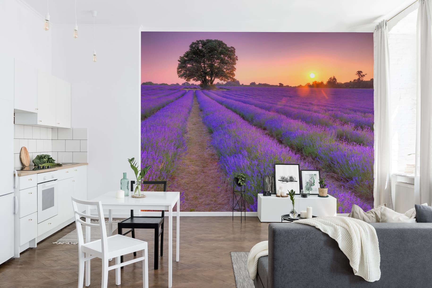 Buy Lavender Field At Sunset Wallpaper Happywall