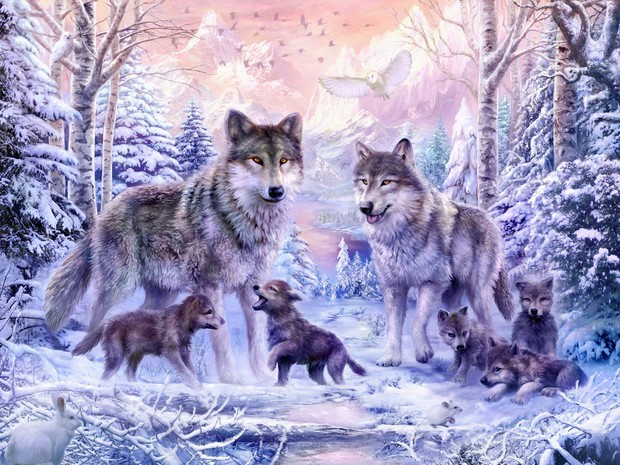 Winter Wolf Family Wall Mural Photo Wallpaper Photowall