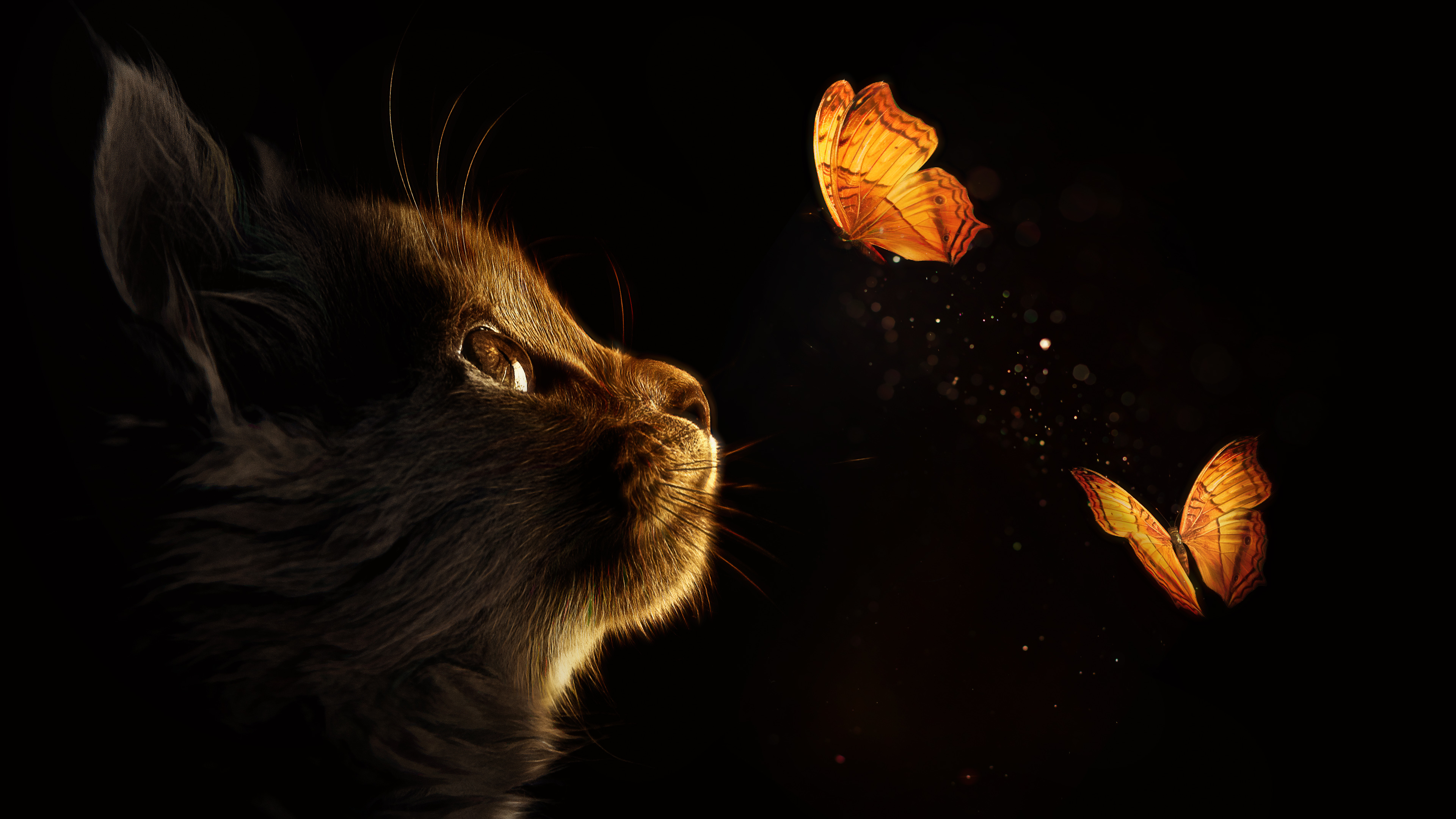 A captivating 4K wallpaper featuring a dark, mysterious cat gazing intently at two glowing orange butterflies against a pure black backdrop