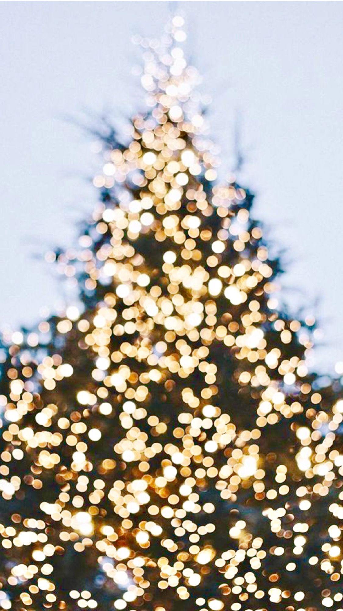 The Magic Glow Of Christmas Lights Wallpaper