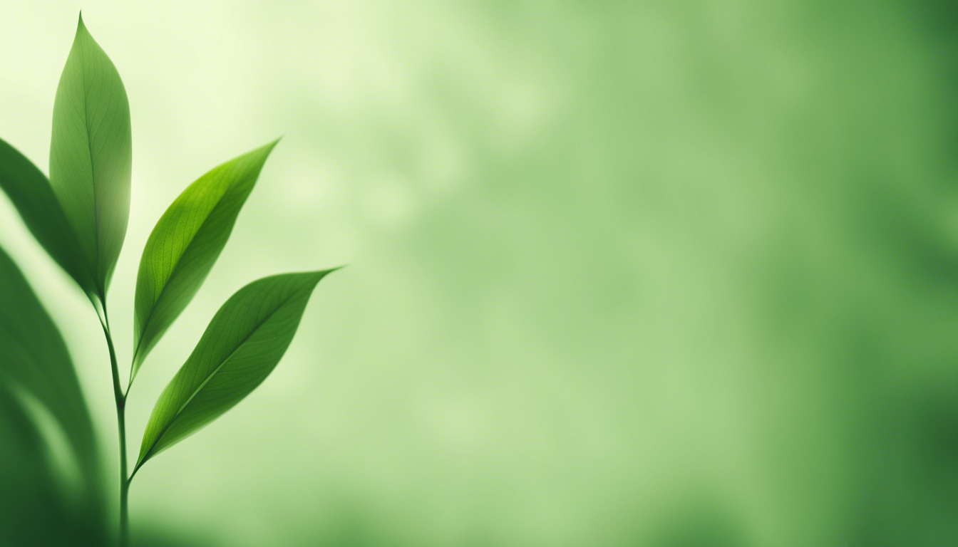 Green Minimalist Aesthetic Wallpaper