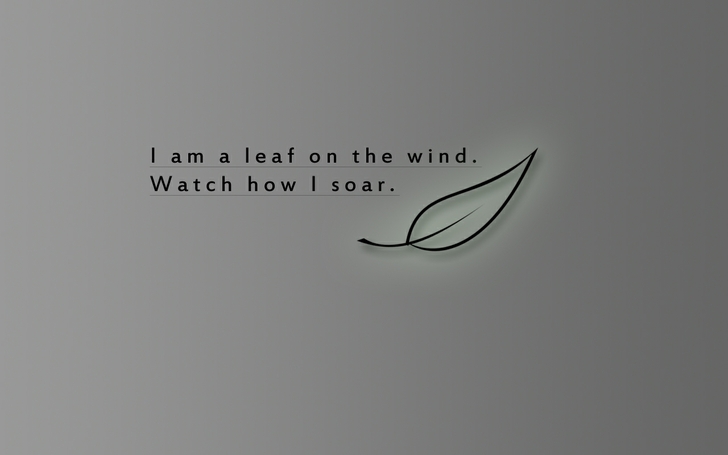 Wind Firefly Fly Watches Wallpaper High Resolution