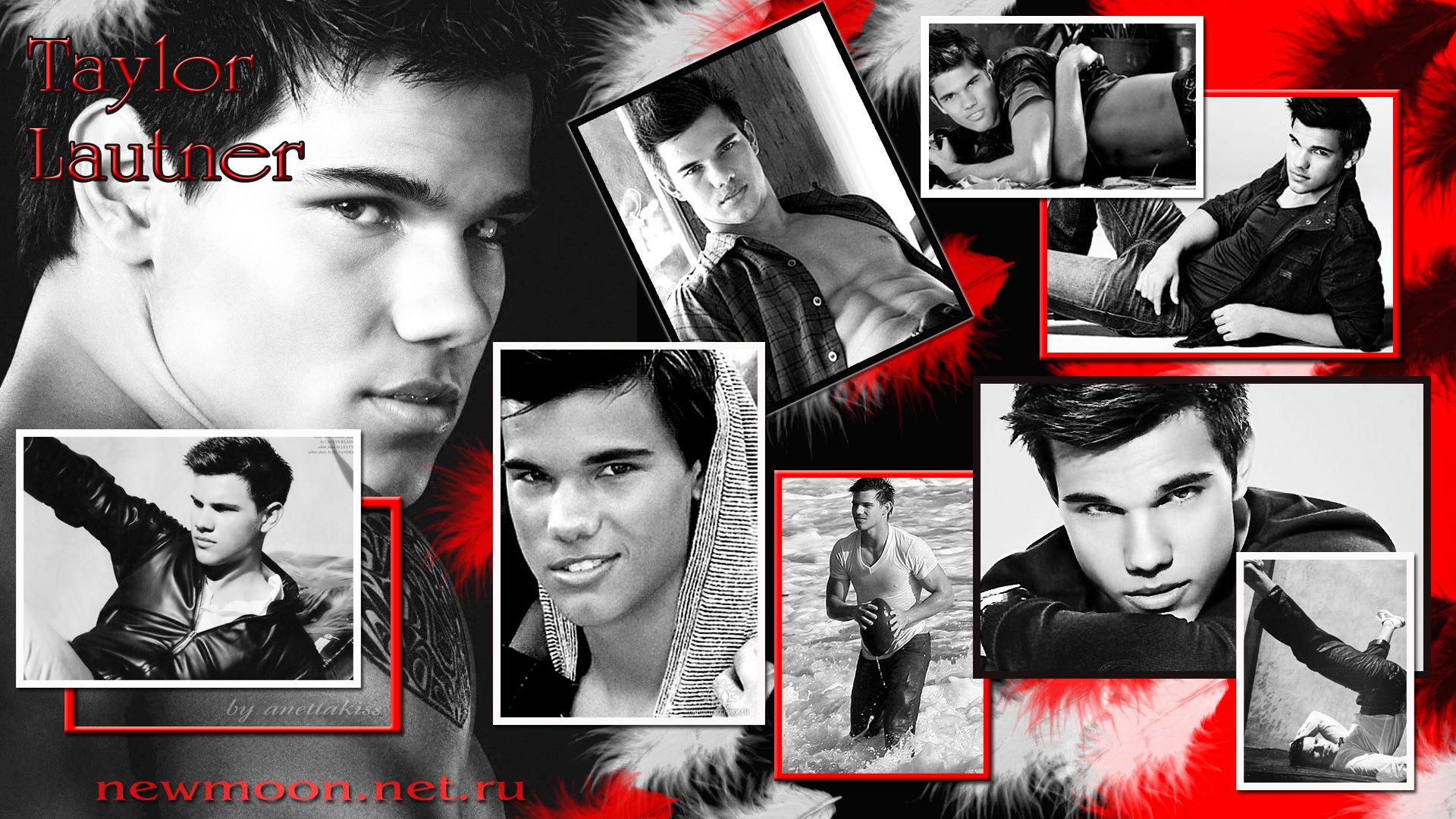 Taylor Lautner Twilight Wallpaper