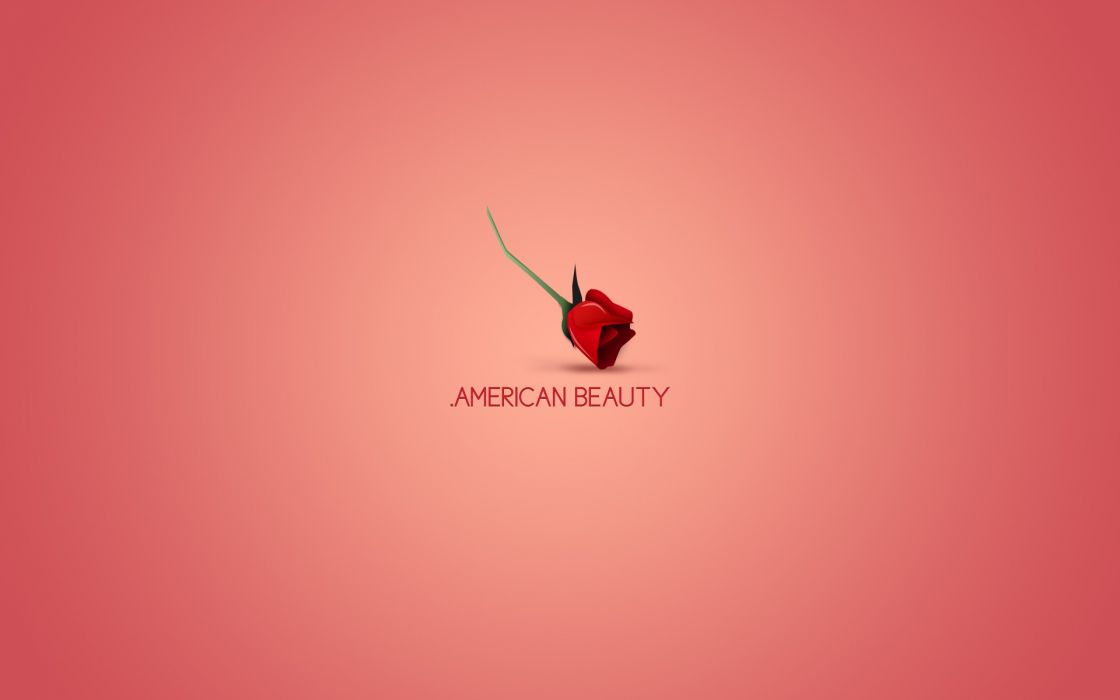 Minimalistic Movies American Beauty Wallpaper