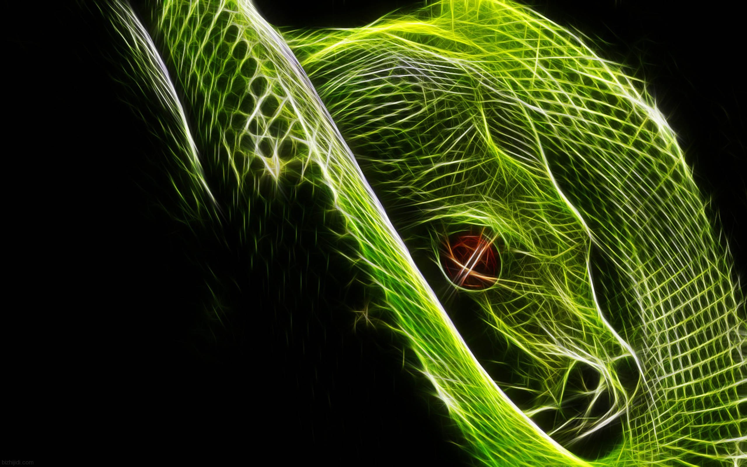 Snakes Image Snake HD Wallpaper And Background Photos