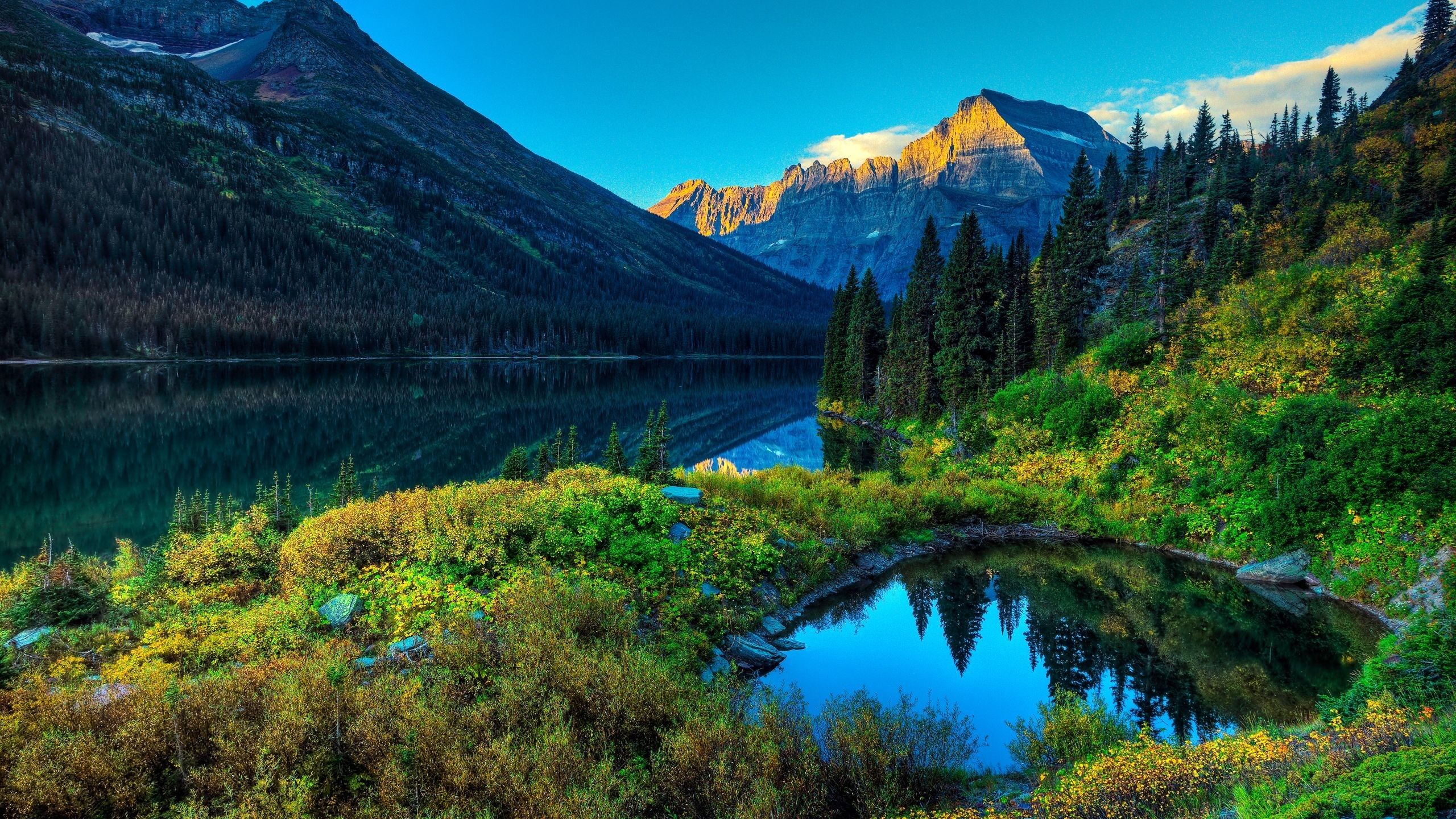 Nature Wallpaper On