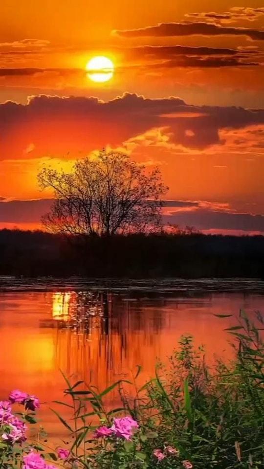 Beautiful Image Of Sunset And Sunrise