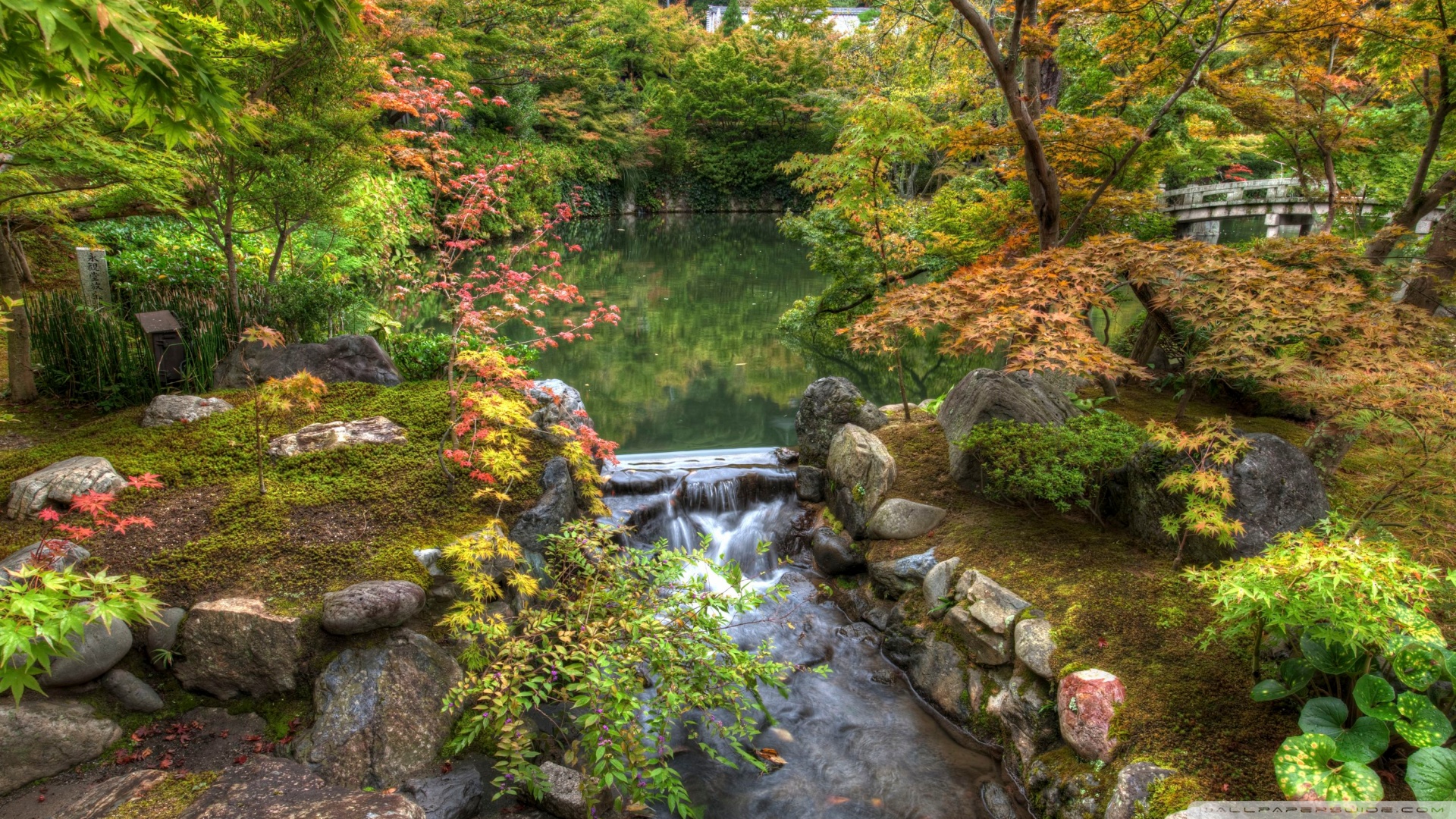 56+ Japanese Zen Garden