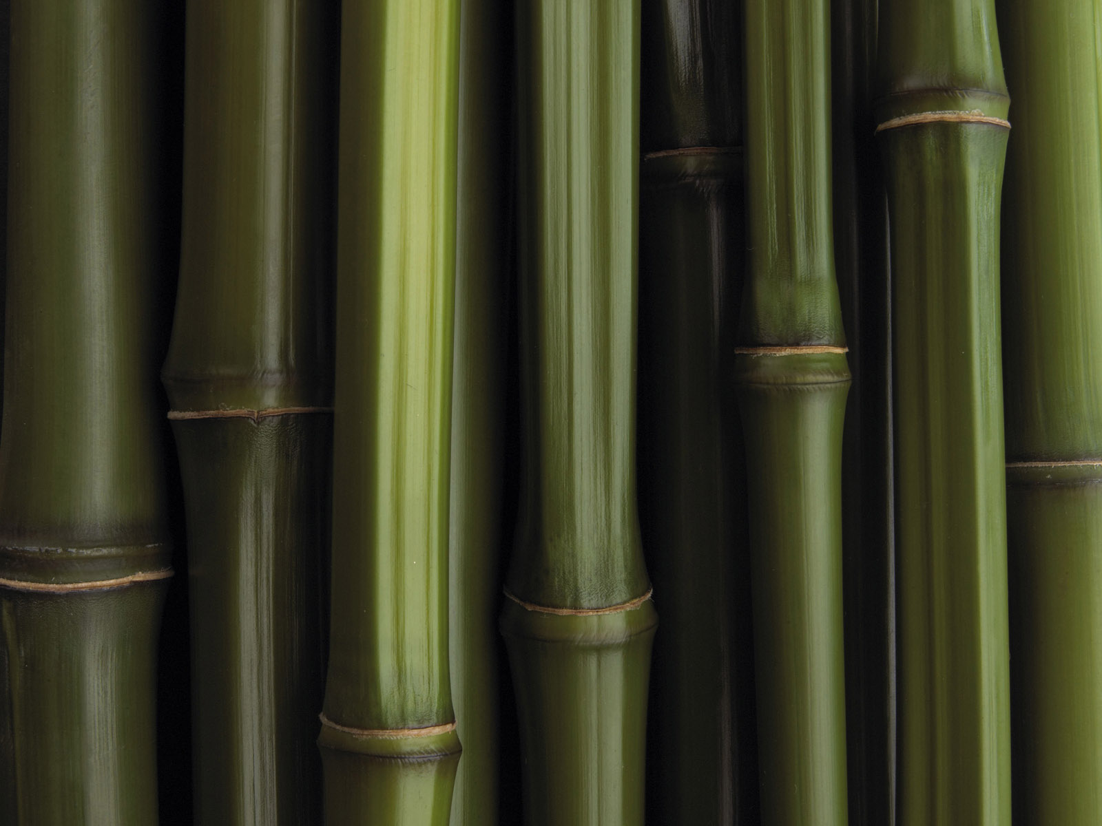 Previous Creative Wallpaper Bamboo Texture