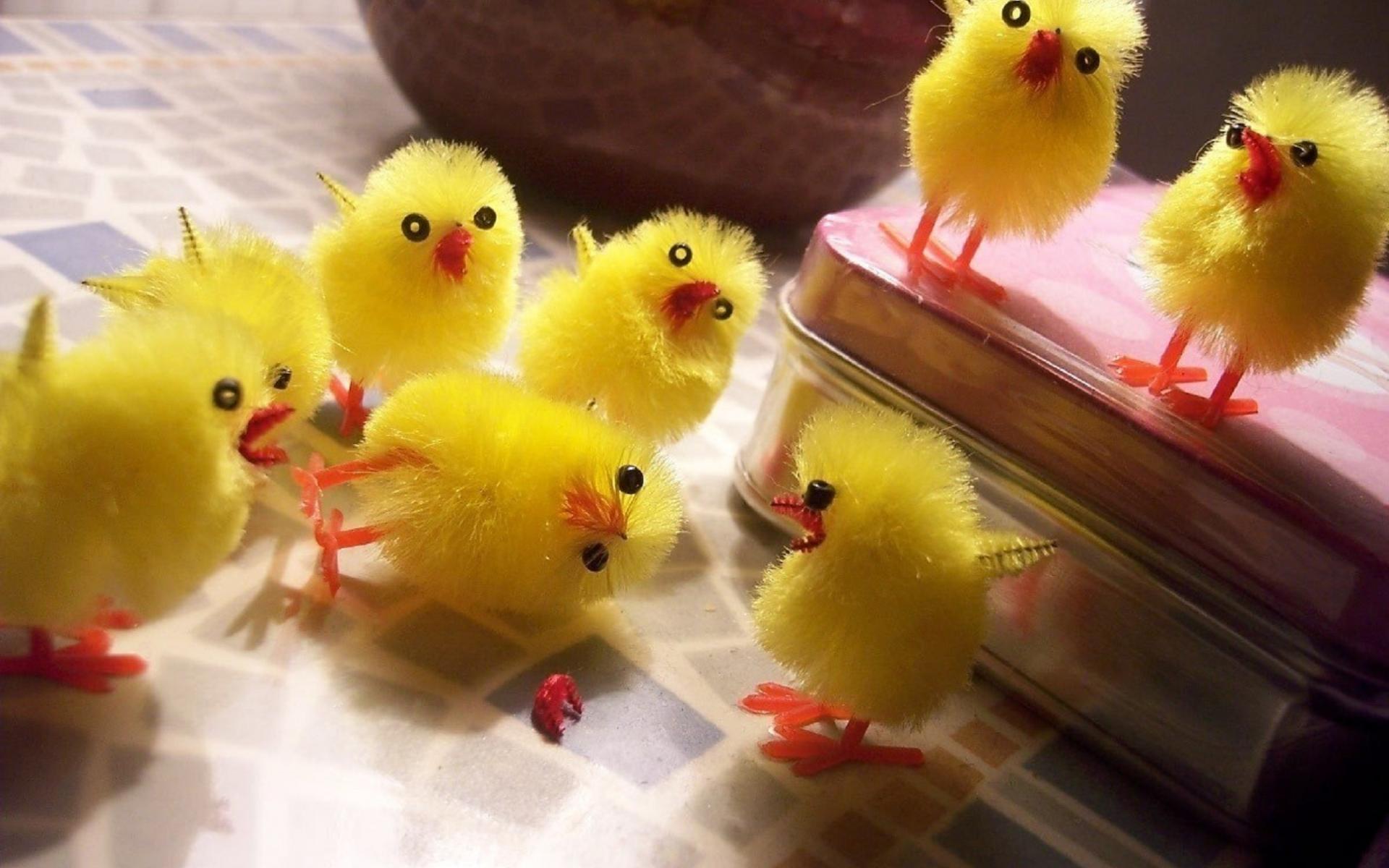 Chicks Birds Cute Toys Chickens Easter Humor Wallpaper