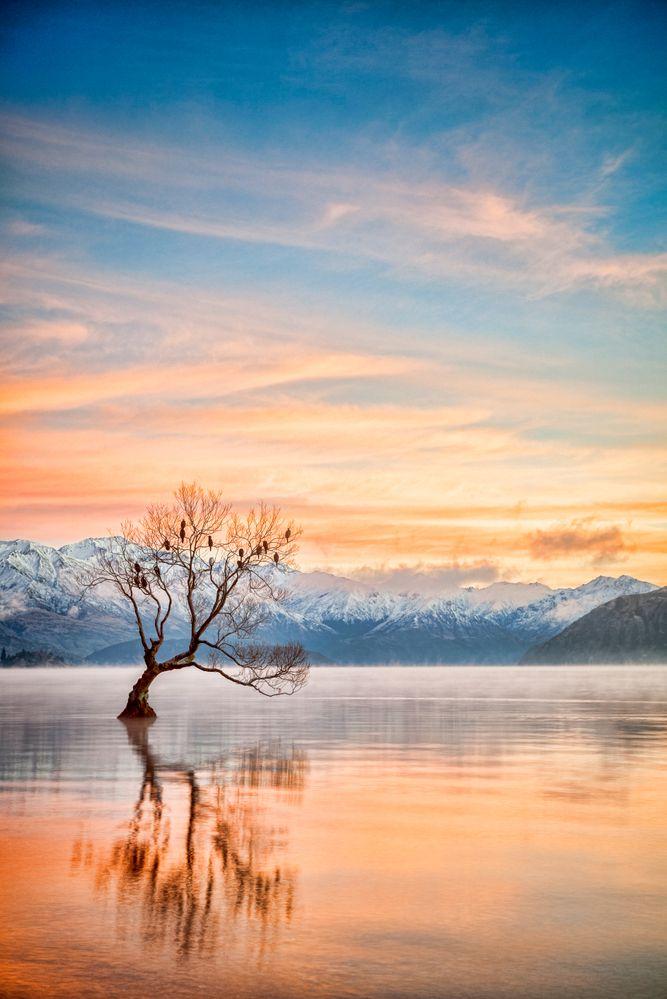 Lake Wanaka Otago New Zealand Art Print By Colin Linda Mckie