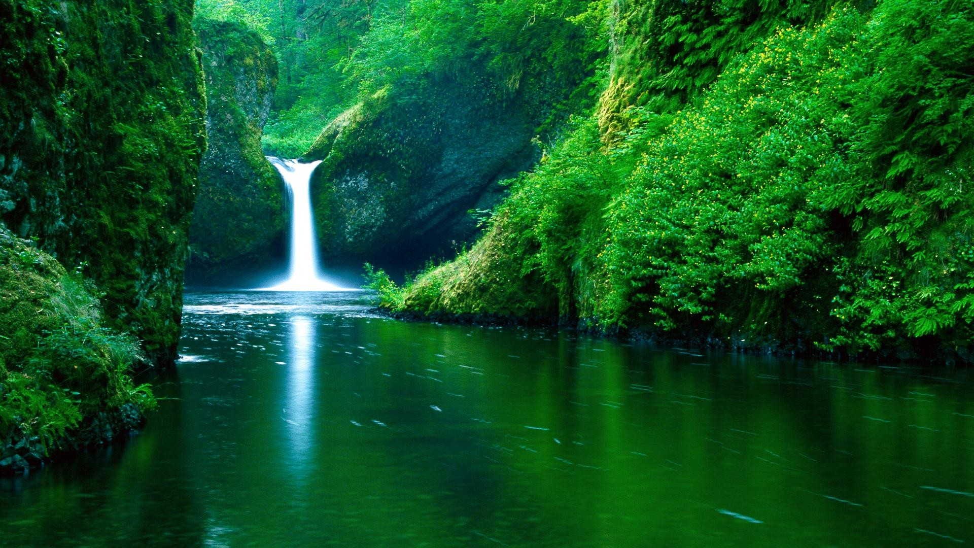 A serene waterfall cascades into a crystal-clear pool in a lush green forest, creating a tranquil and picturesque nature scene ideal for computer wallpaper