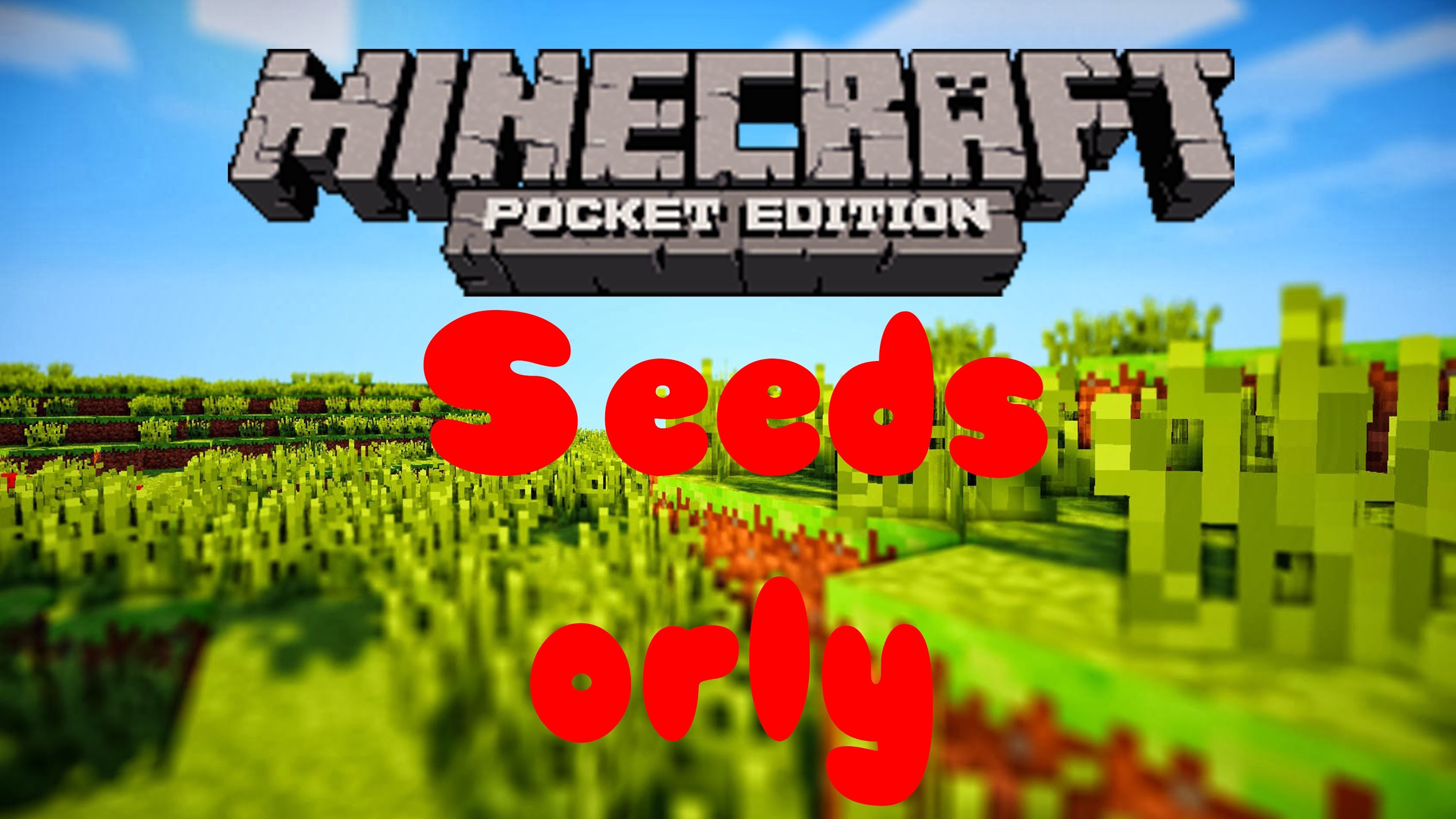 Best Seed Ever Minecraft Pocket Edition HD Wallpaper Apps