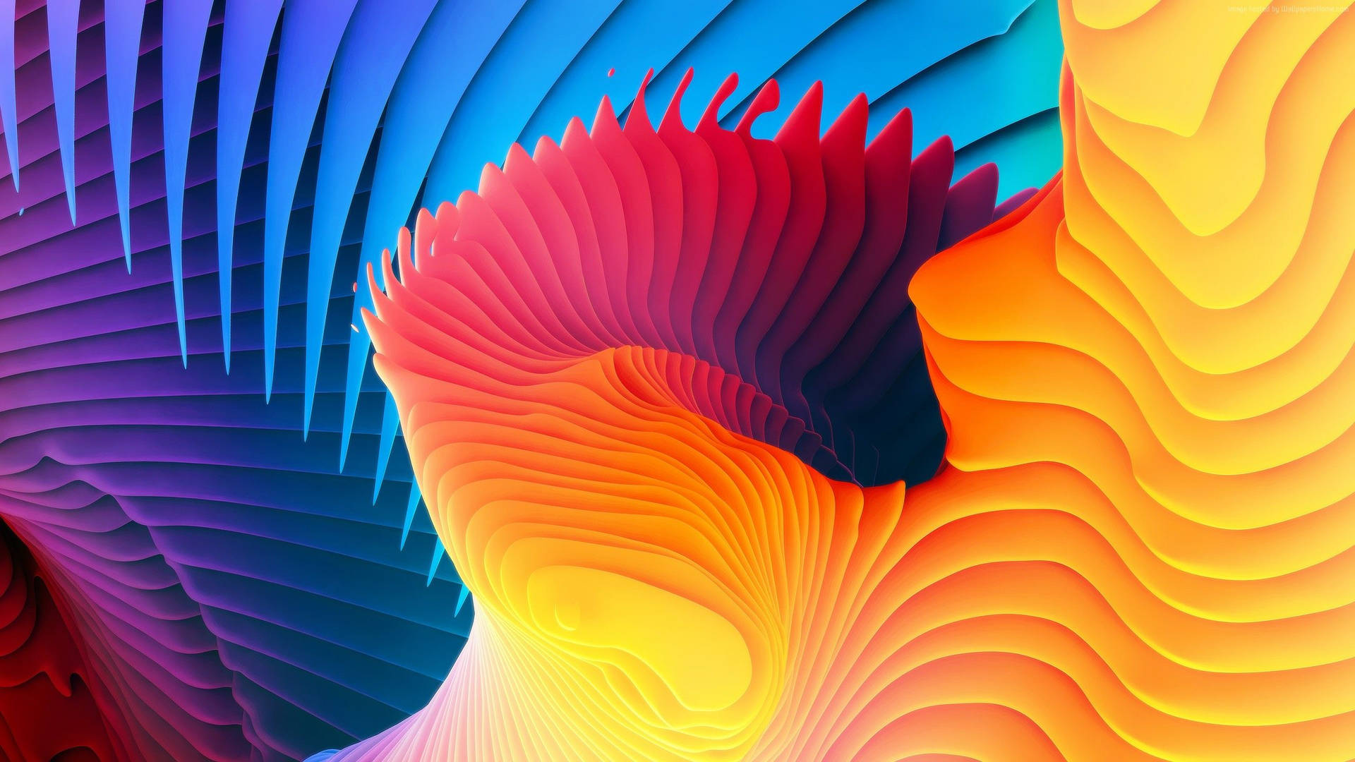 4k Moving Wallpaper