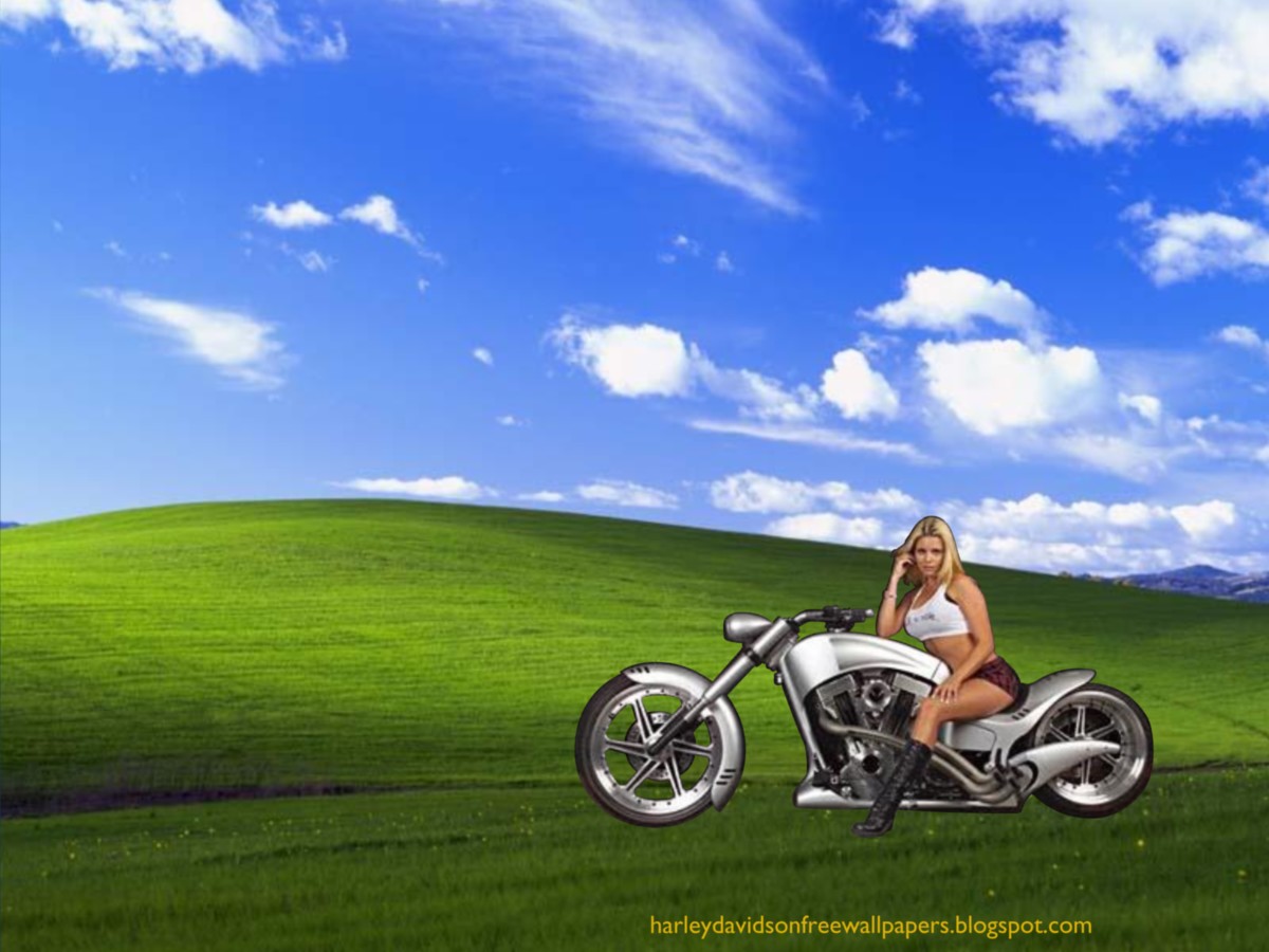  Harley Davidson Beautiful Blonde Babe in Countryside desktop wallpaper