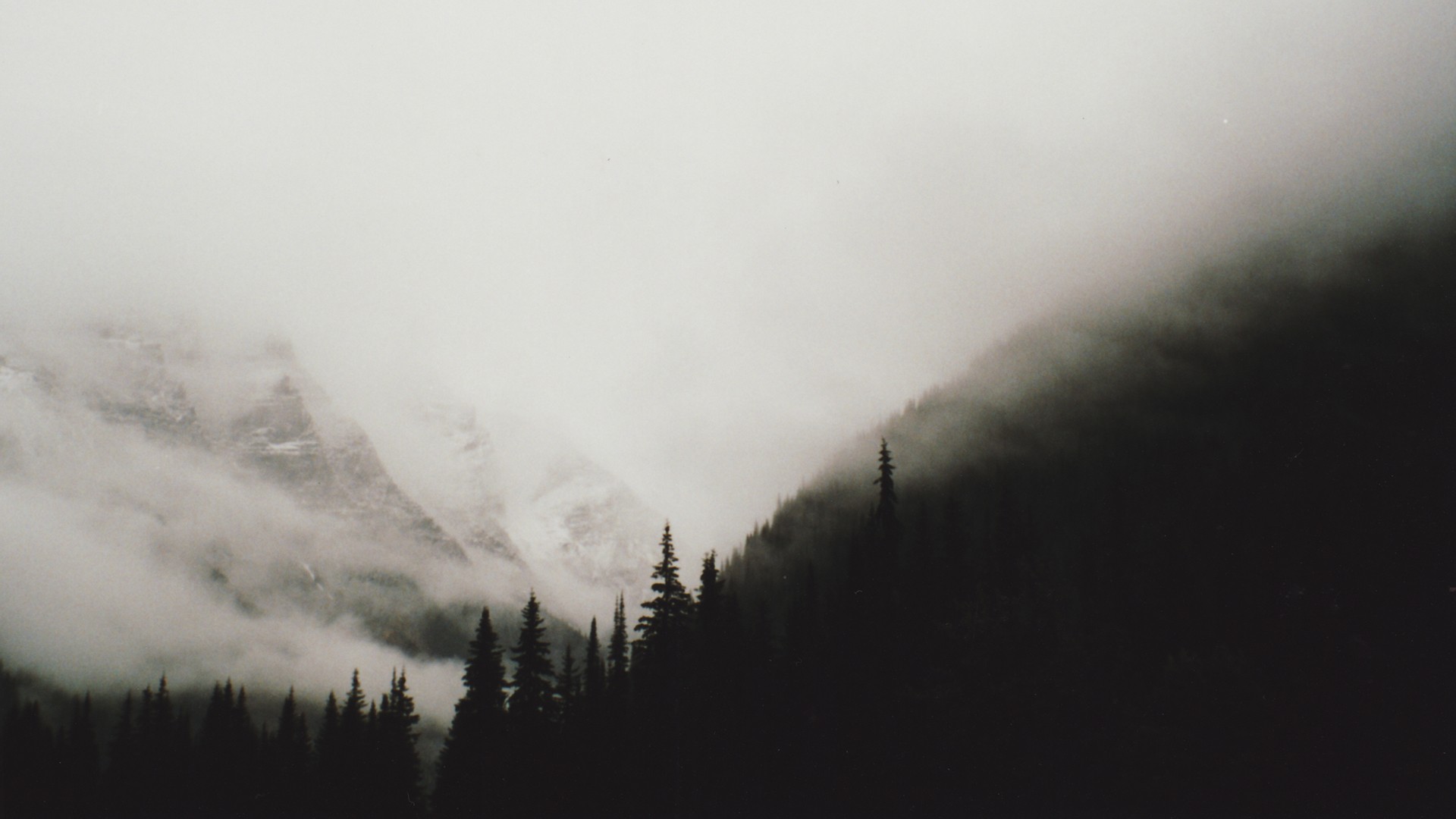Black And White Mountains Wallpaper Forests Trees Foggy