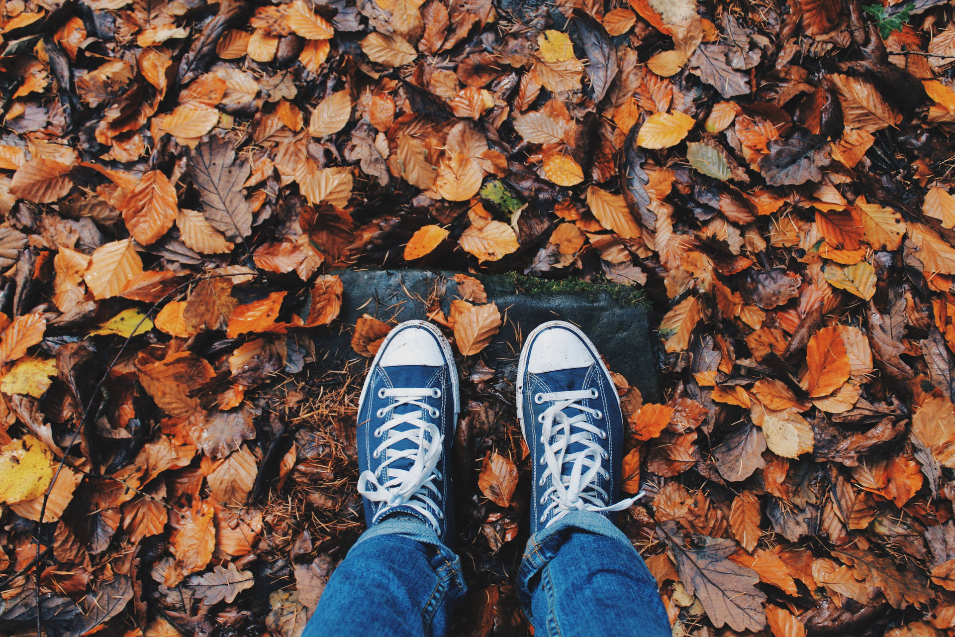 Feet Wallpaper