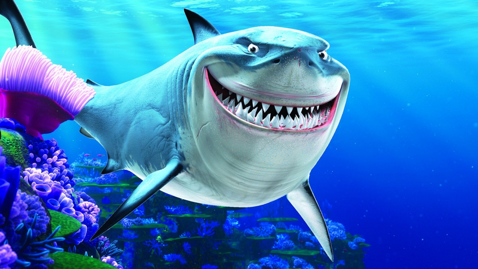 48+] Awesome Funny Shark HD Wallpaper - WallpaperSafari