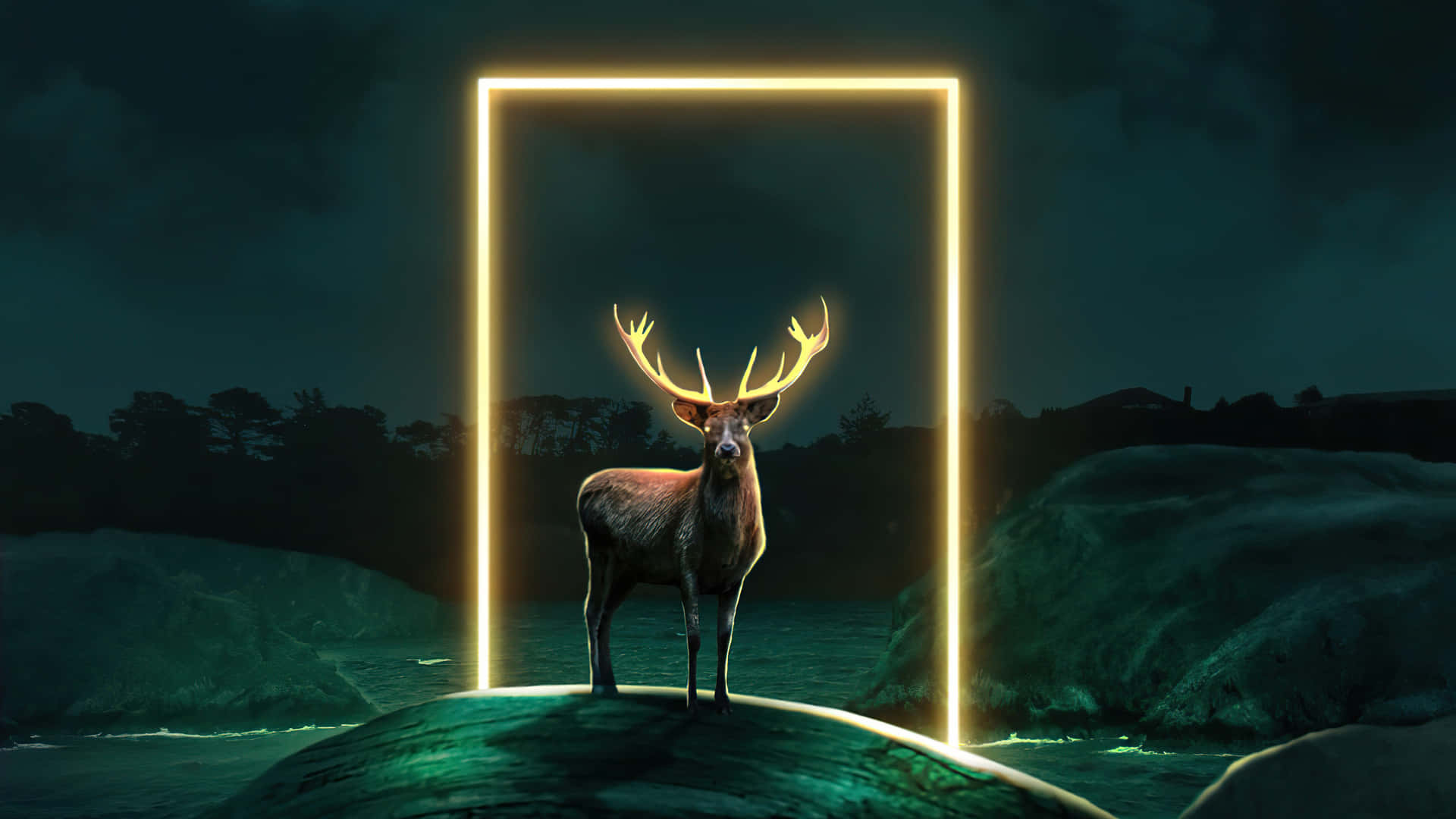 Deer Desktop Wallpaper
