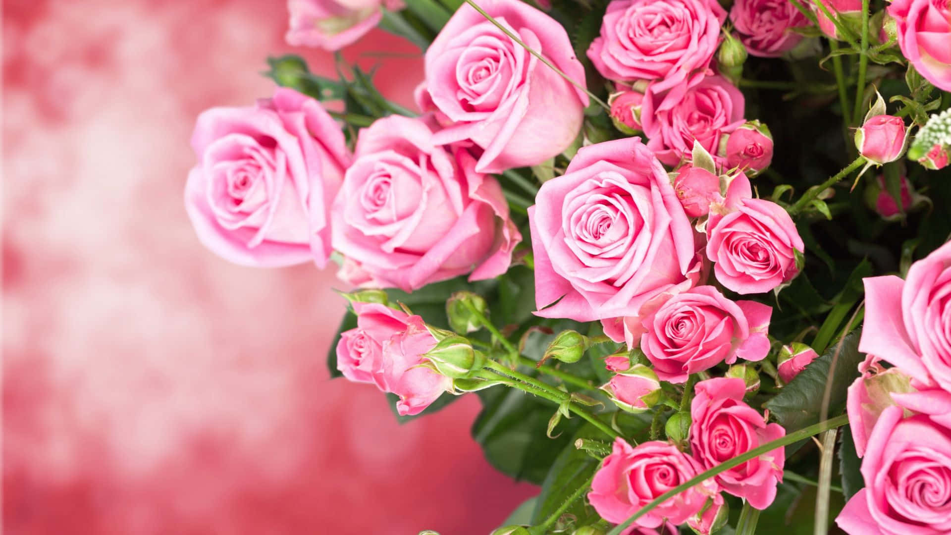Desktop Rose Bouquet Picture Wallpaper