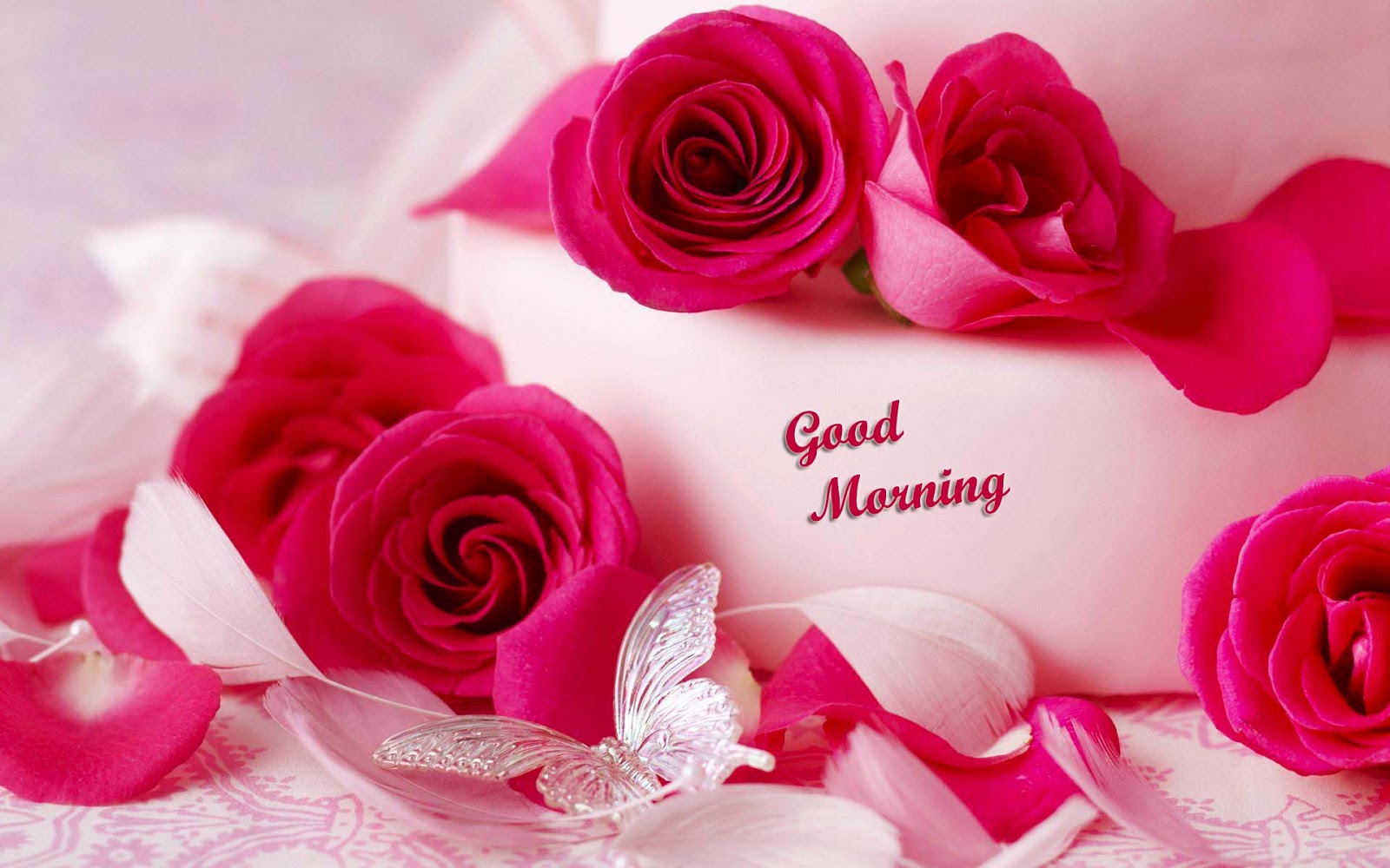 Romantic Roses Good Morning HD Wallpaper