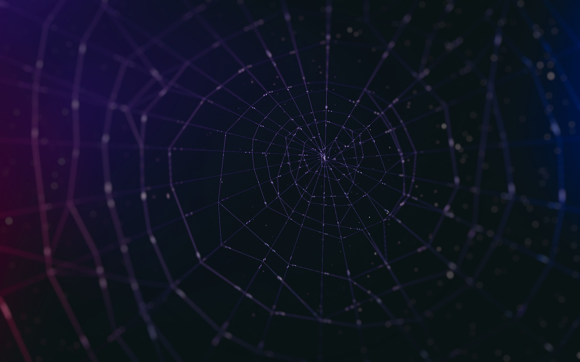 Spider Web Puter Wallpaper Desktop Background