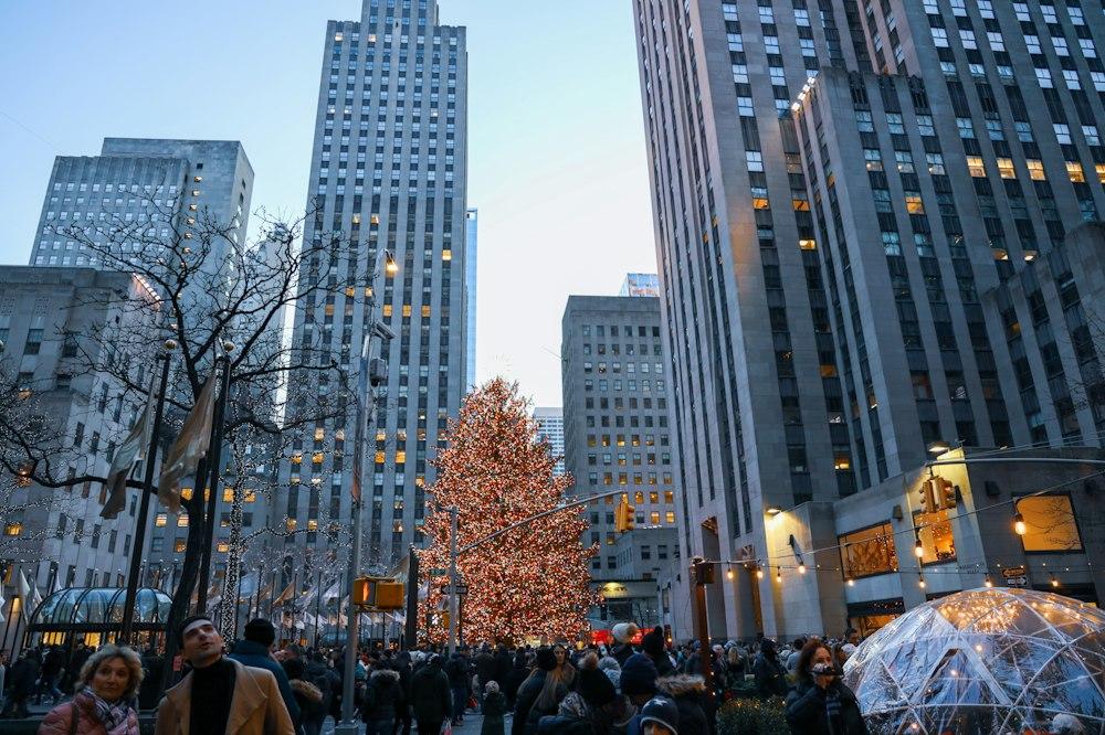 Christmas New York Pictures Download Free Images on