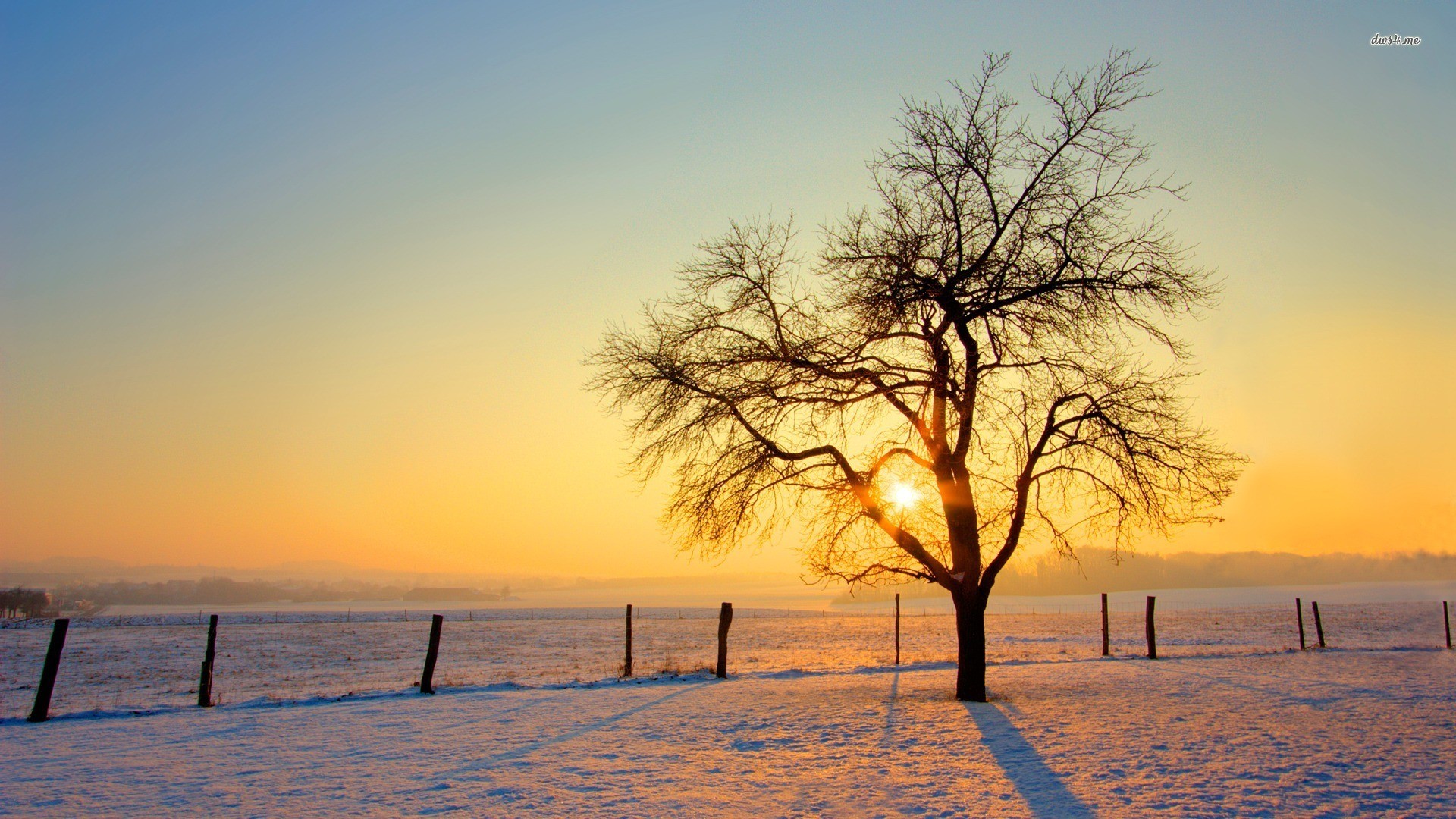 Winter Wallpaper Field Of Snow Background Image