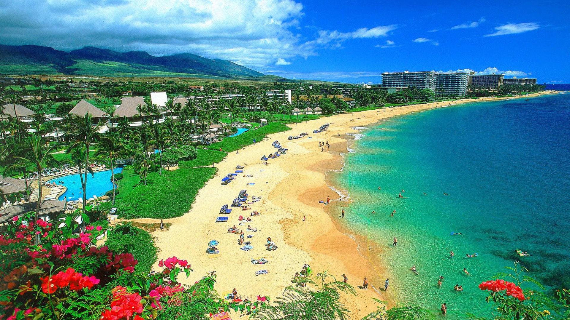 Beach Maui Hawaii Wallpaper1920x1080 Wallpaper Screensaver