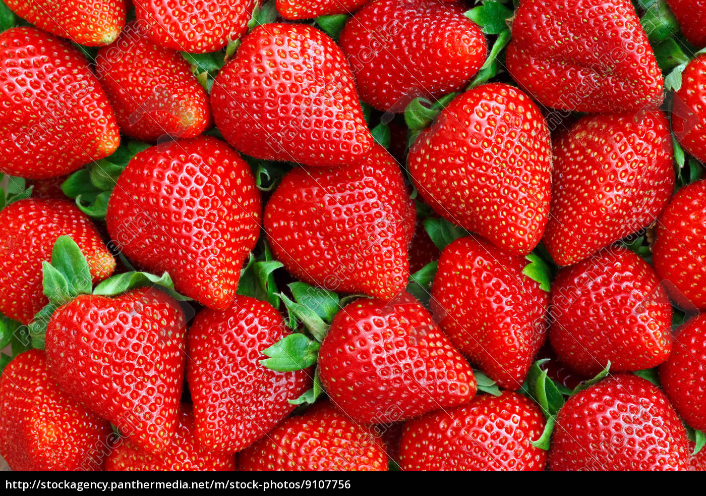 17-backgrounds-strawberry-wallpapersafari