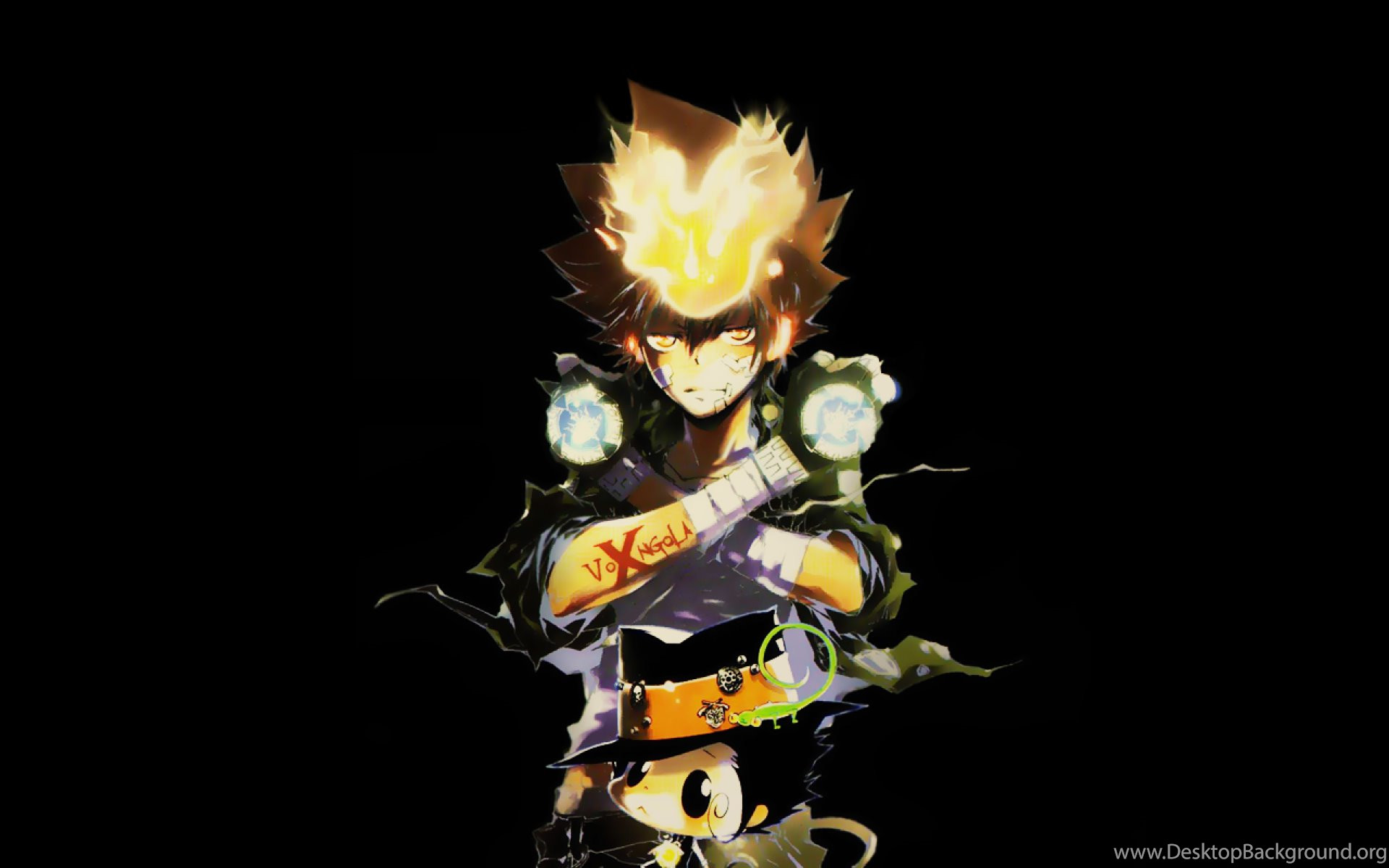 A dark, dynamic anime-style image featuring a character with flaming hair and glowing gauntlets, possibly from the 'Katekyo Hitman Reborn!' series