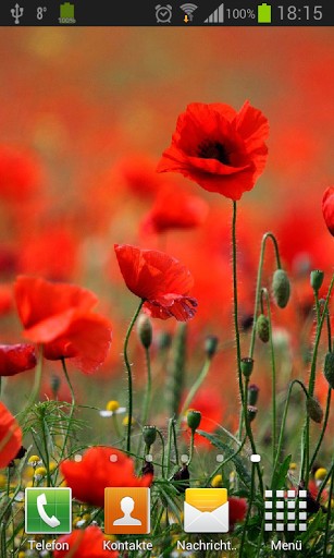 Poppies Live Wallpaper For Android By Neygavets Appszoom