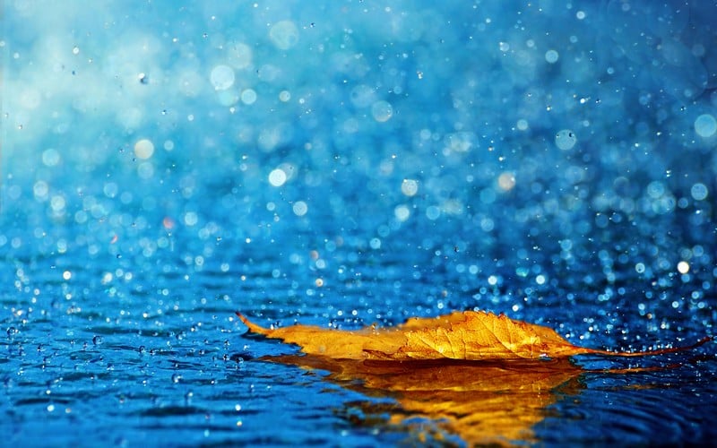 Rainy Day Wallpapers One HD Wallpaper Pictures Backgrounds FREE