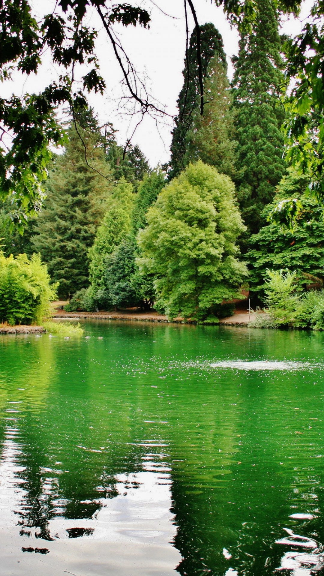 Free download HD Background USA Portland Oregon Laurelhurst Park ...