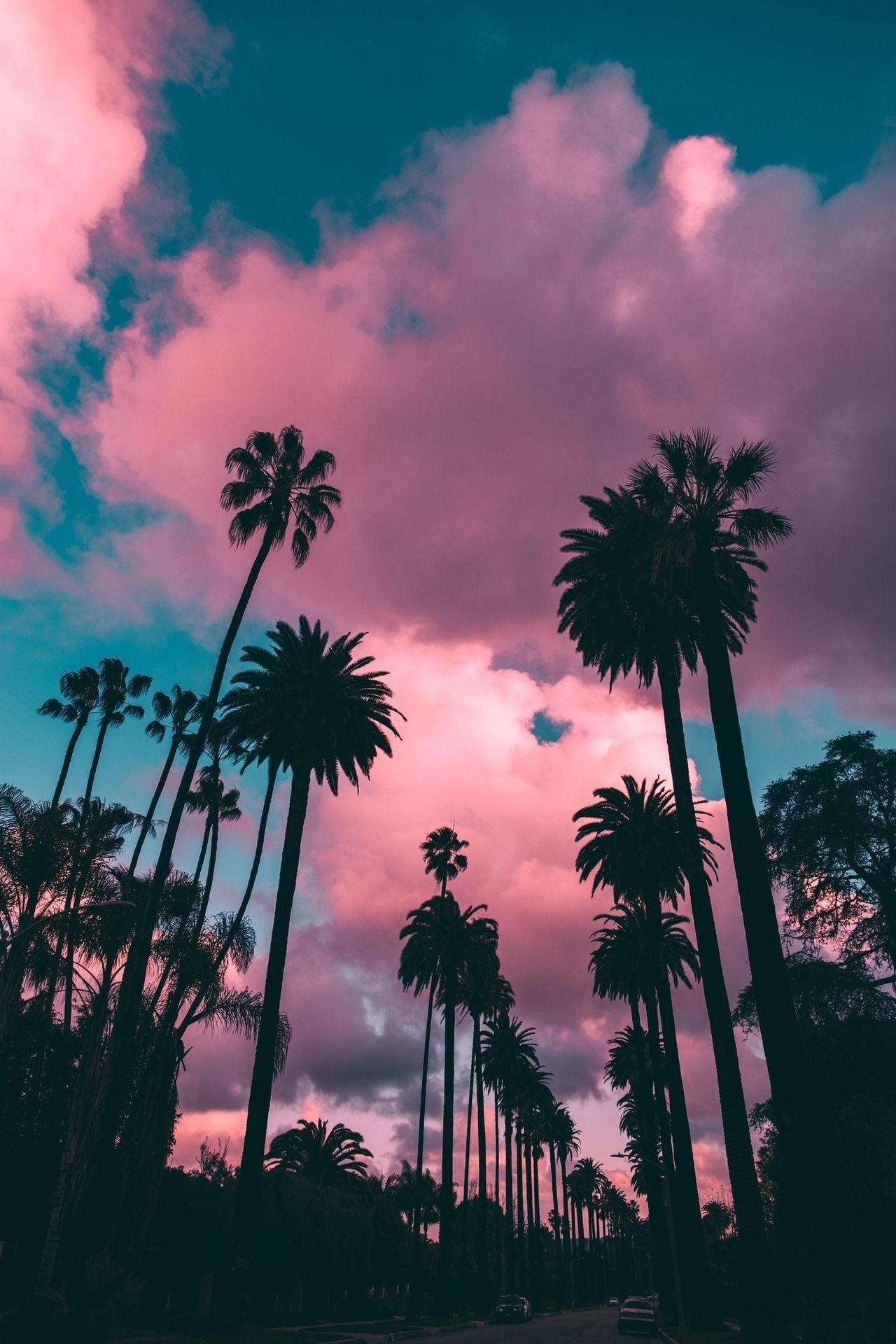 Pink Clouds By Roberto Nicklson Palms Sky Sunset