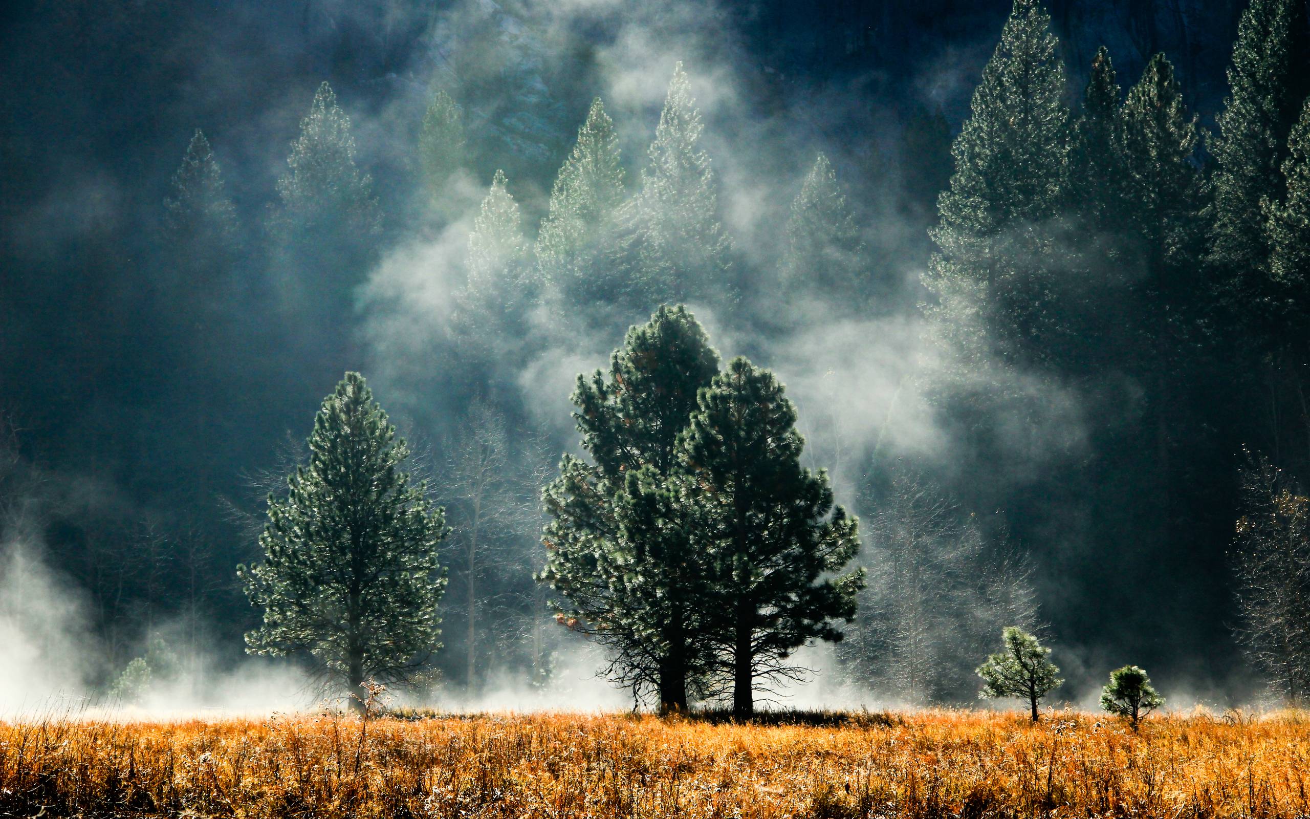 Pacific Northwest Landscape Wallpaper Top