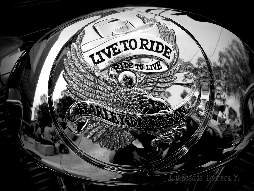 Harley Davidson Live Wallpaper Full HD