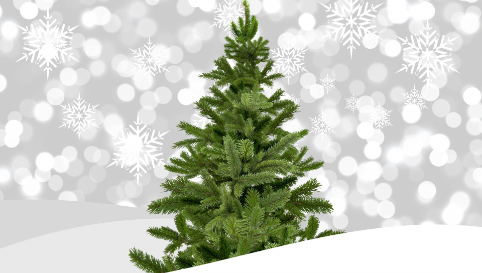 Wallpaper Christmas Tree Holiday Decorations