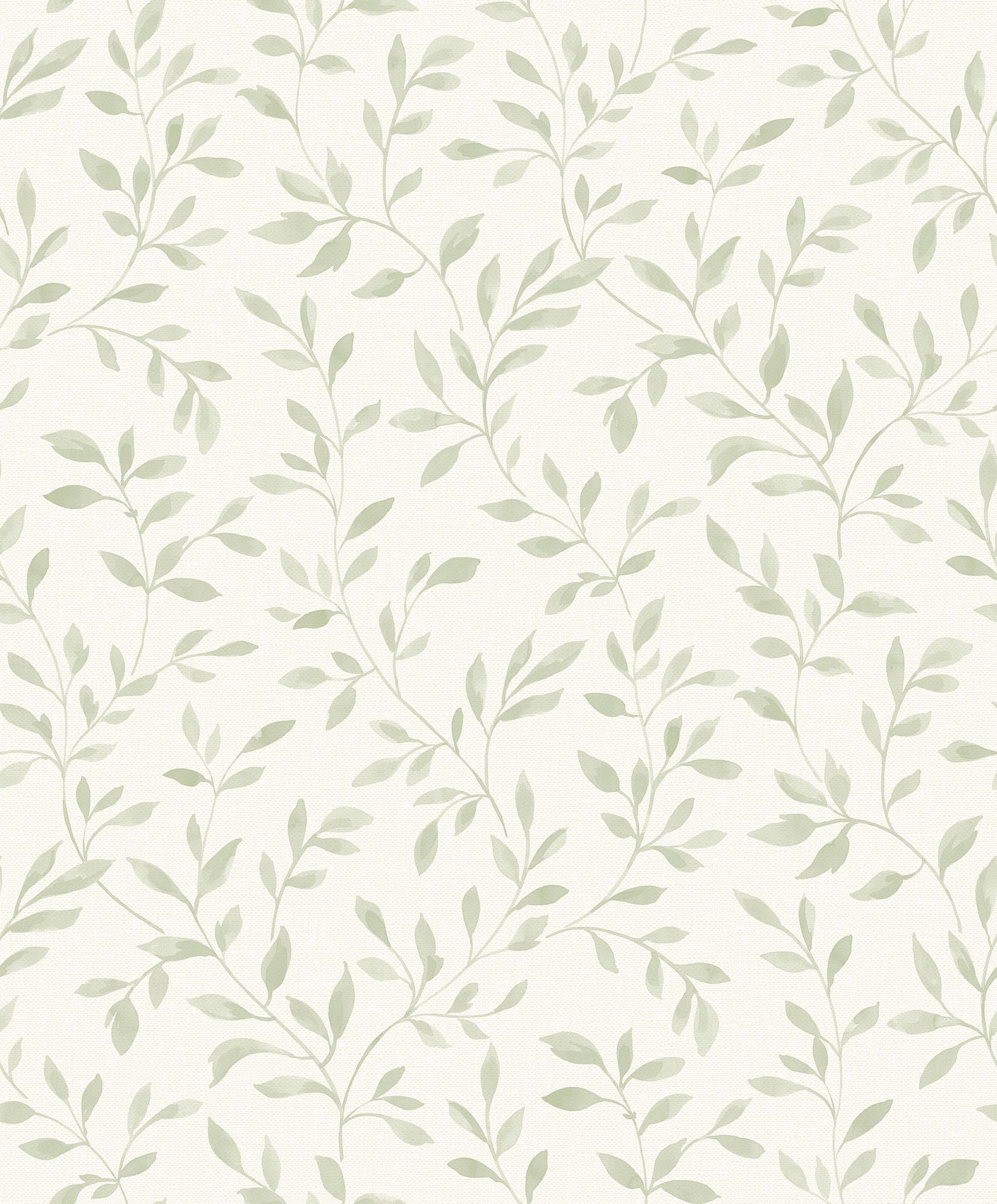 Sage Green Aesthetic Wallpaper
