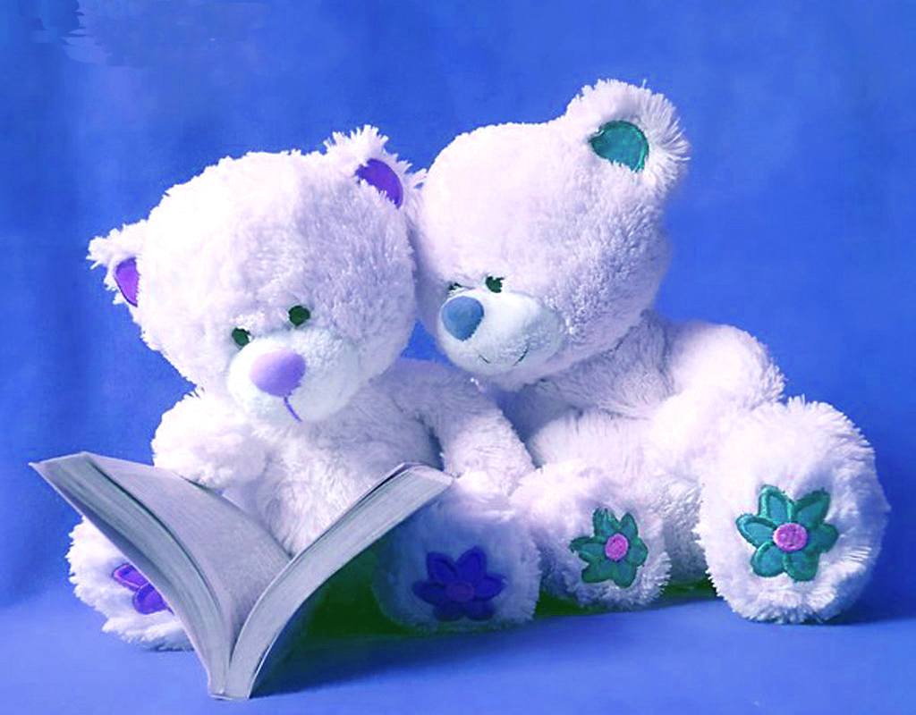 Pics Photos   Most Cute Teddy Bear Wallpaper With