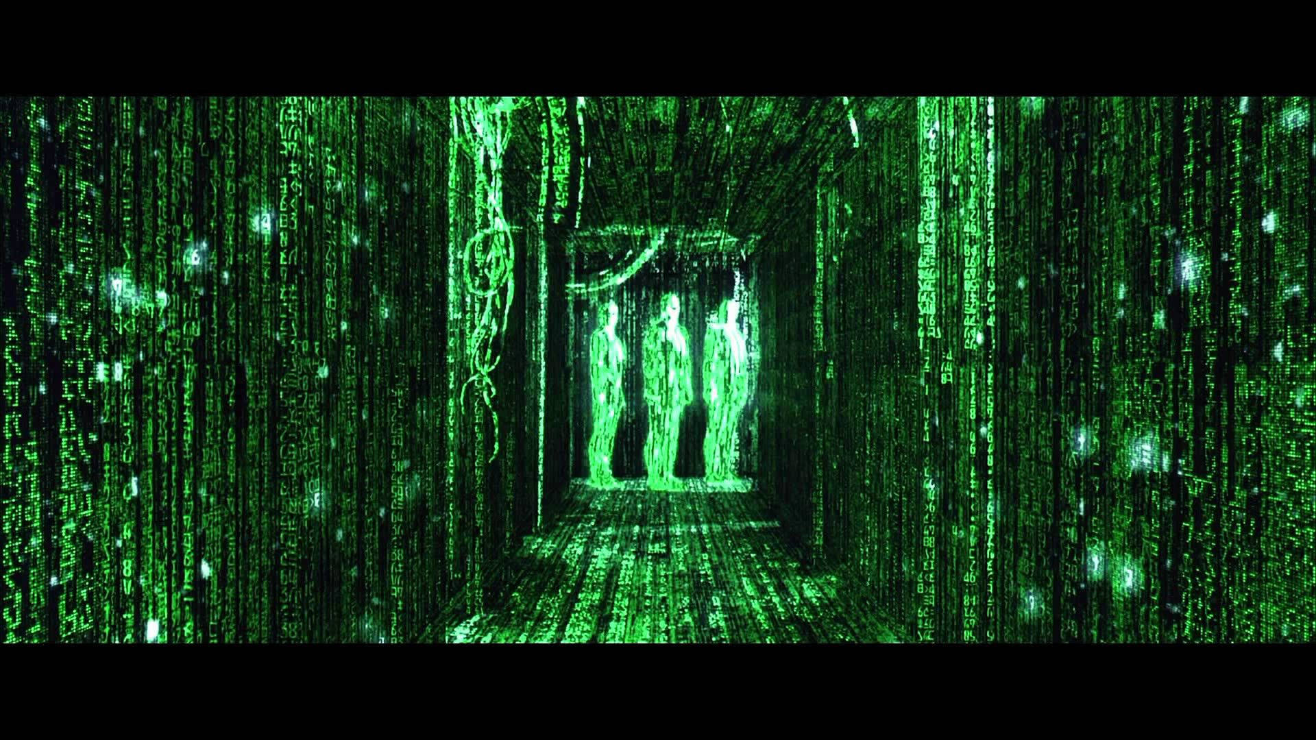 Human Holos In Green Matrix Hallway 9y0kbjdasshb9q2a Wallpaper